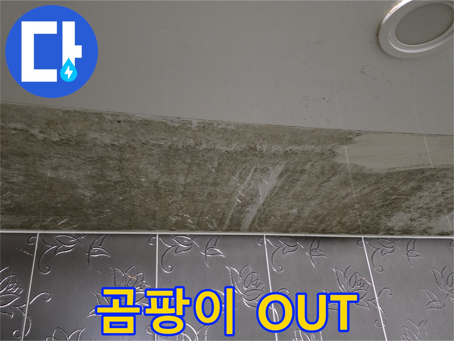 곰팡이 핀 화장실 천장 - 누수 잡고 곰팡이 OUT