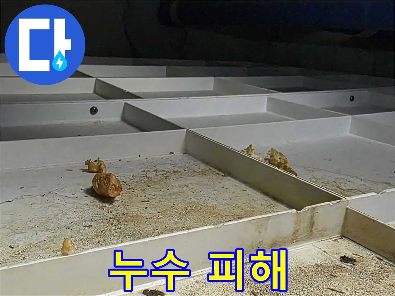 누수 피해 - 누수로 인한 피해 상황