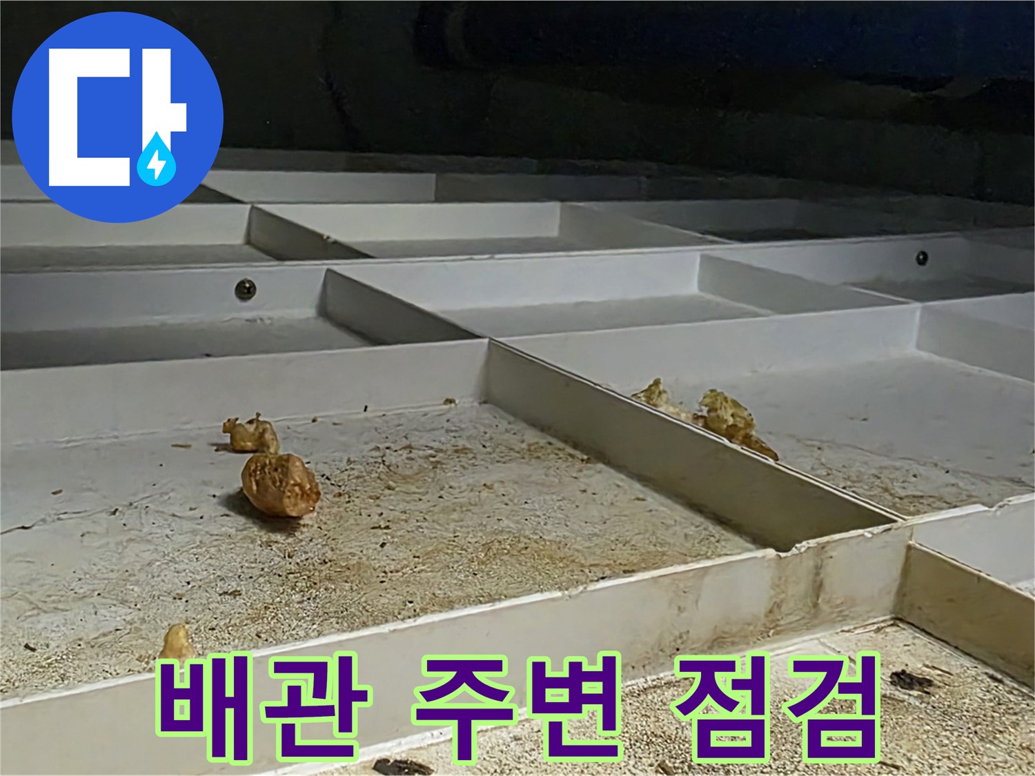 배관 주변 점검 - 천장 배관 주변 집중 점검