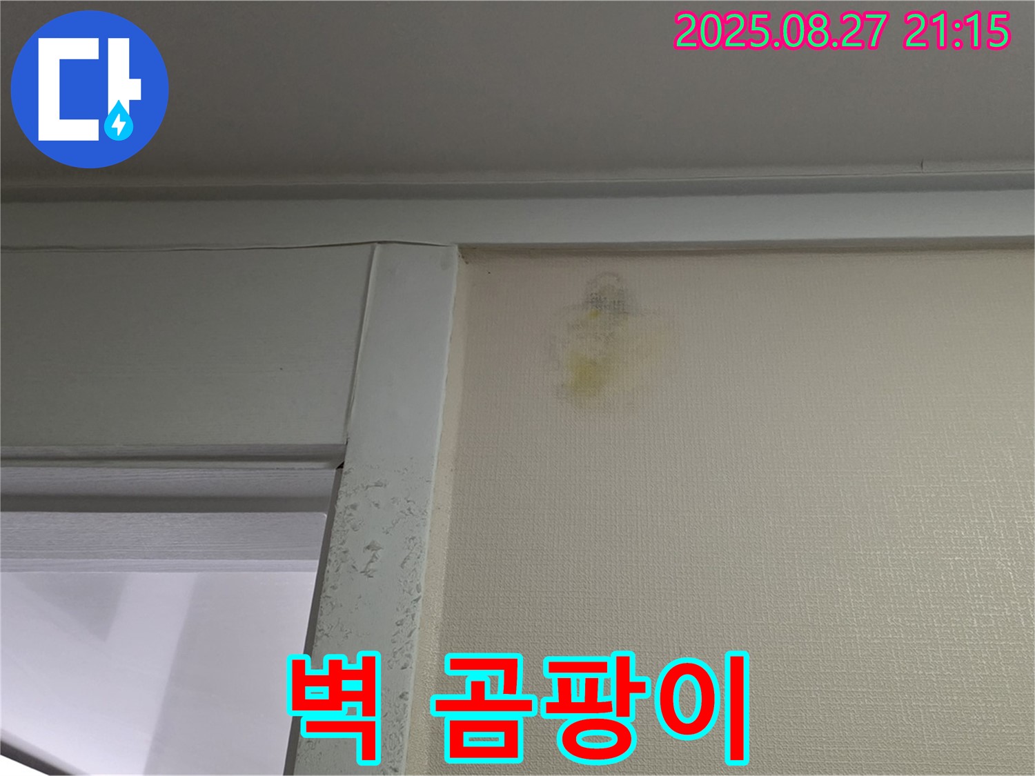 벽 곰팡이 - 산운마을 6단지에서 발견된 벽 곰팡이 현장을 촬영한 사진입니다 - 건강을 위협할 수 있습니다.