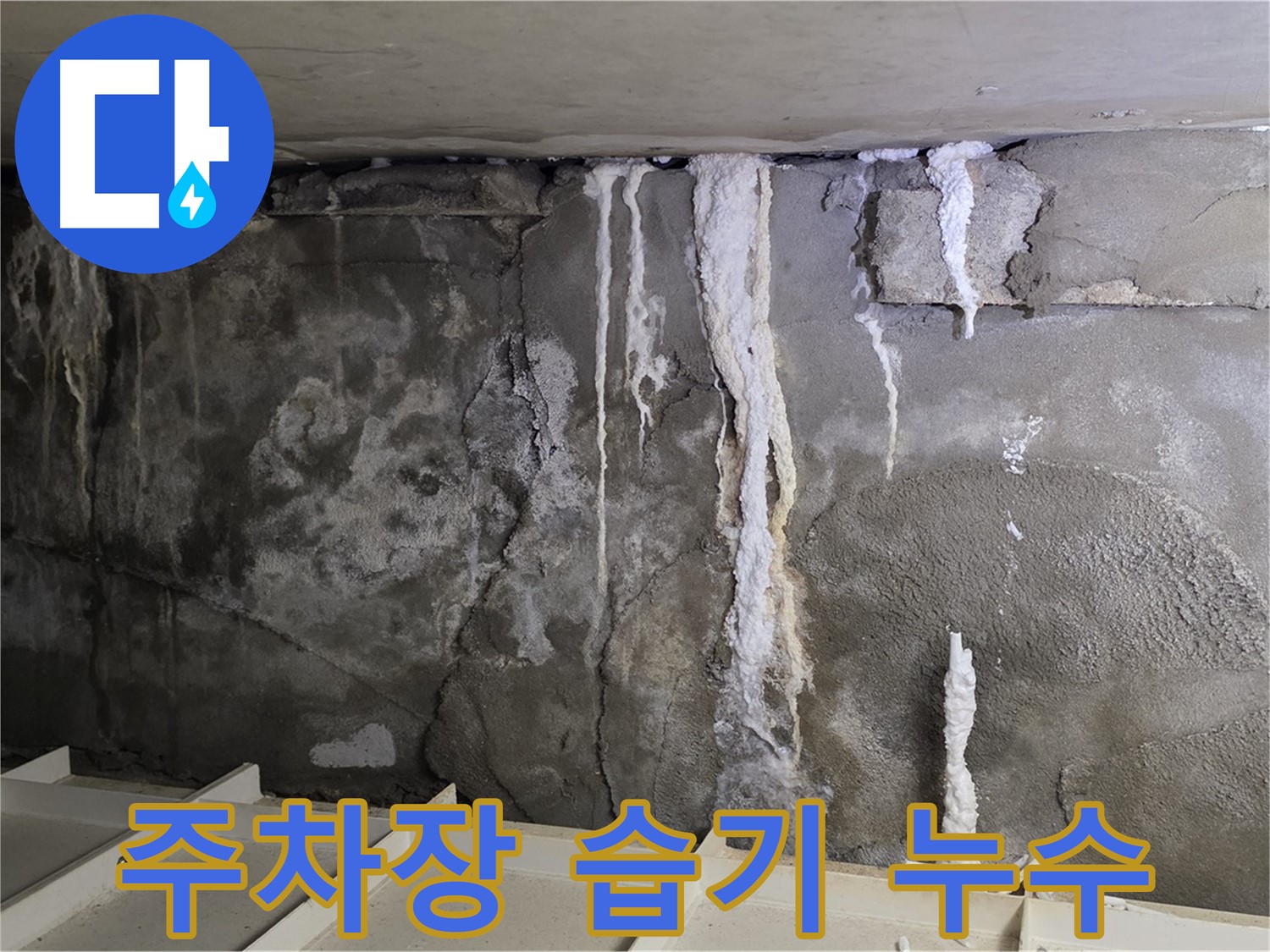 벽에 습기가 차는 주차장 누수 - 곰팡이 발생 위험, 빠른 점검