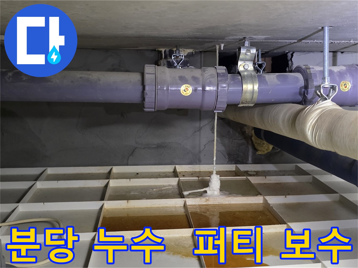분당 산운마을 6단지 배관 누수 - 연결 부속 손상, 긴급 퍼티 보수로 응급처치