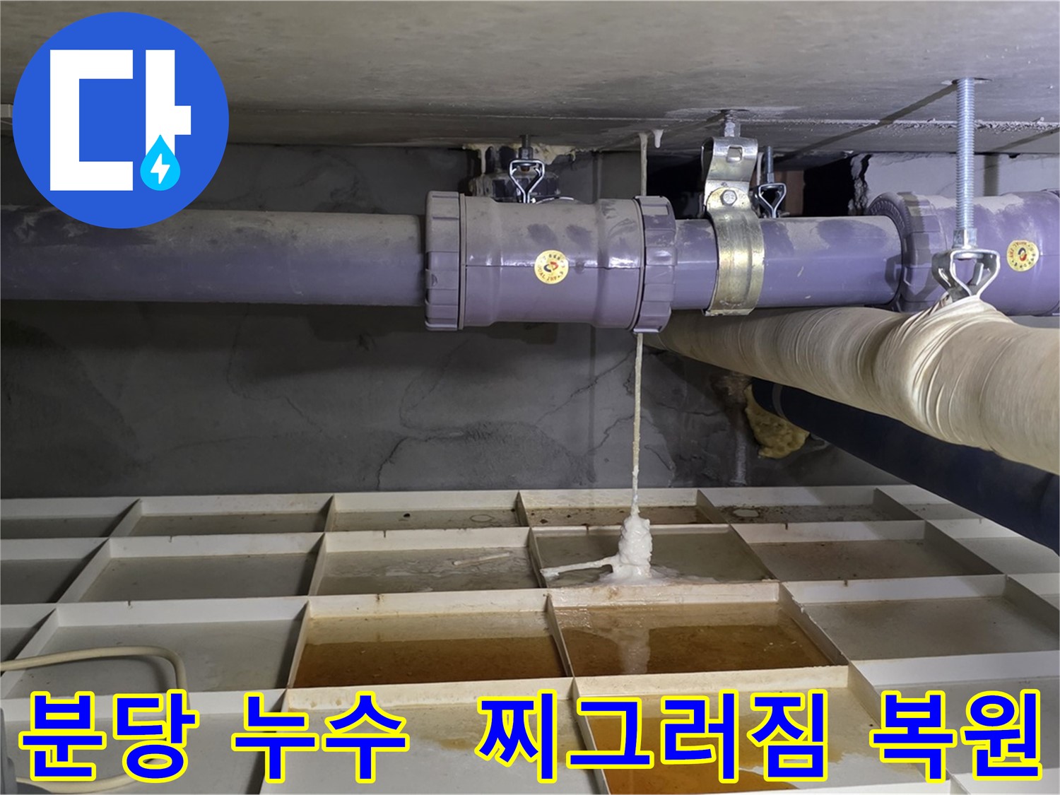분당 산운마을 배관 누수 - 연결 부속 찌그러짐, 전문 장비로 완벽 복원