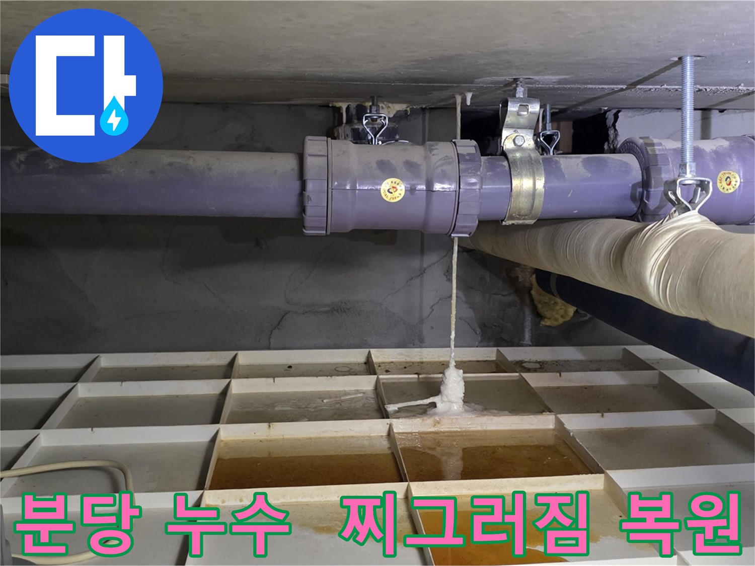 분당 산운마을 배관 누수 - 연결 부위 찌그러짐, 전문 장비로 복원