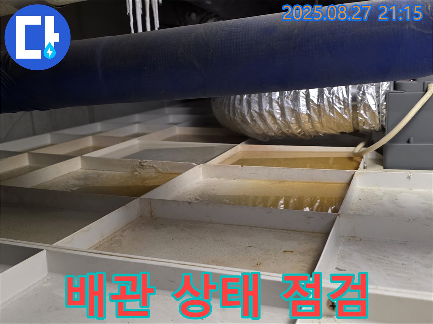 분당 운중동 산운마을 누수 현장 - 배관의 노후 상태와 연결 부위를 꼼꼼하게 점검하여 누수 원인을 파악합니다.