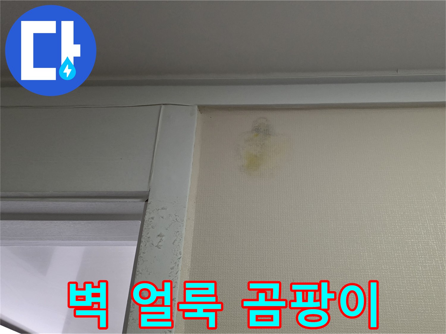 분당 운중동 산운마을 아파트 - 벽 얼룩 주변 곰팡이 초기 누수 의심, 습도 측정