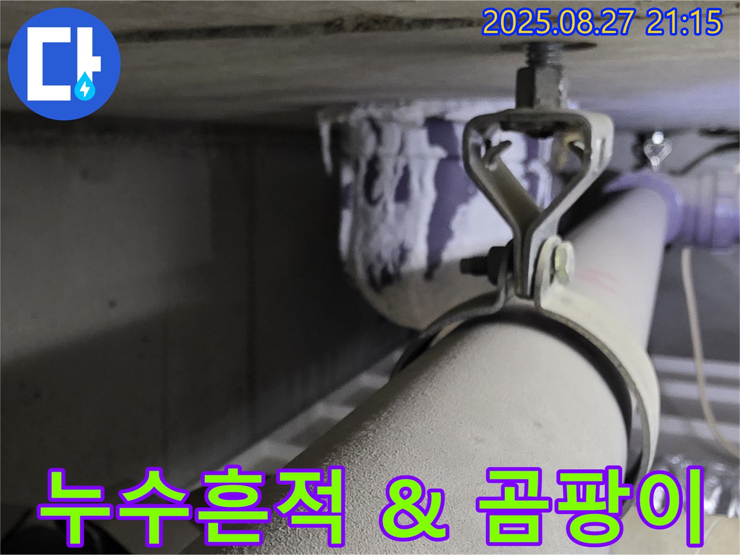 분당 운중동 산운마을 아파트 천장 배관 - 연결 부위 주변 누수 흔적 및 곰팡이 발생 여부 확인 - 꼼꼼하게 점검하세요.