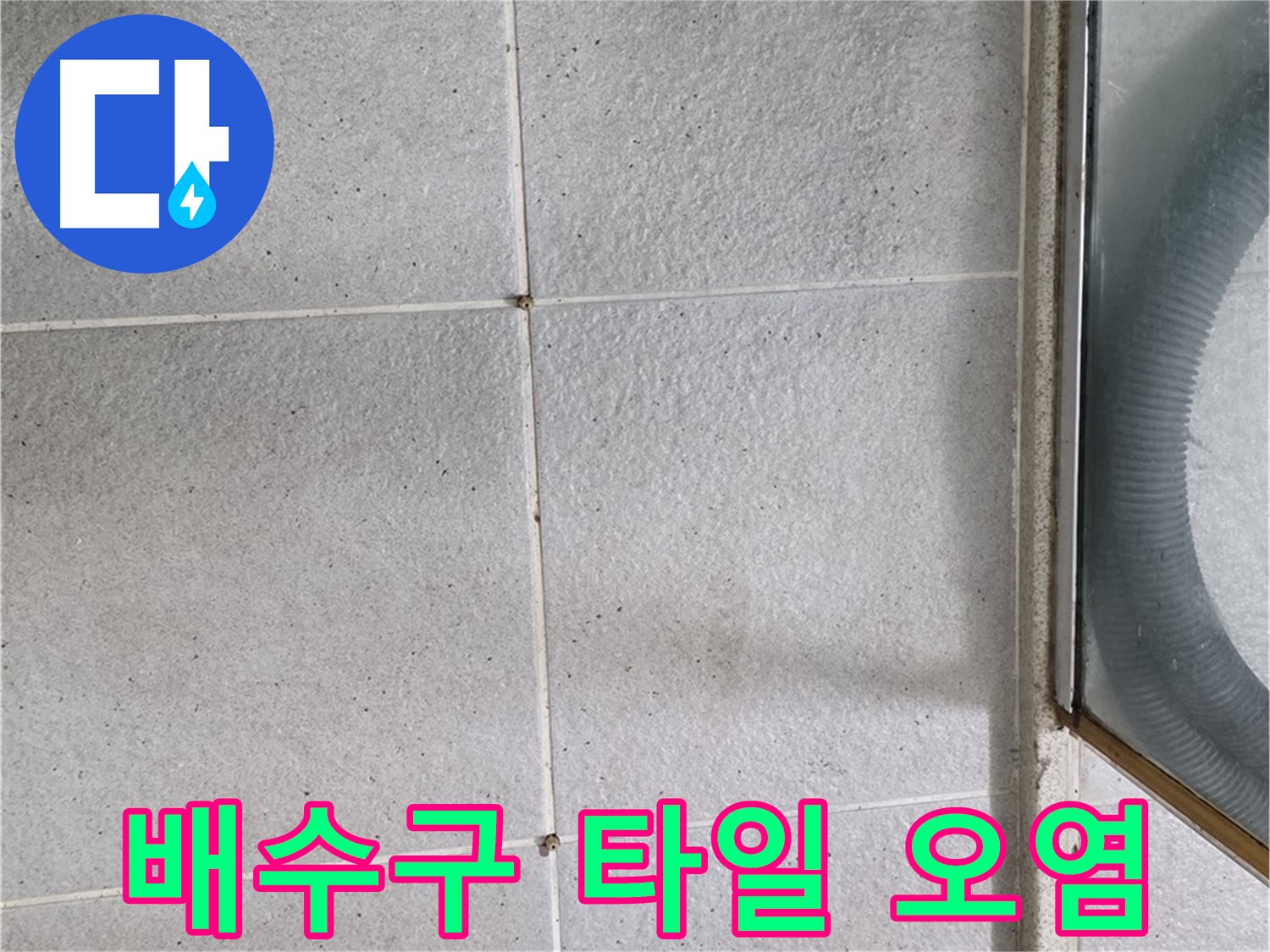 분당 운중동 욕실 배수구 주변 - 타일 틈새 오염은 배수 불량과 누수의 원인이 될 수 있습니다.