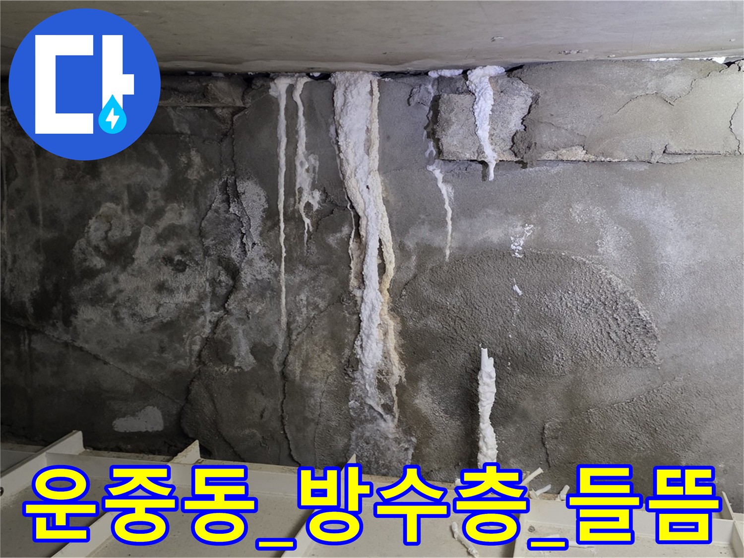 분당 운중동 화장실 벽면 누수 - 들뜬 방수층 문제