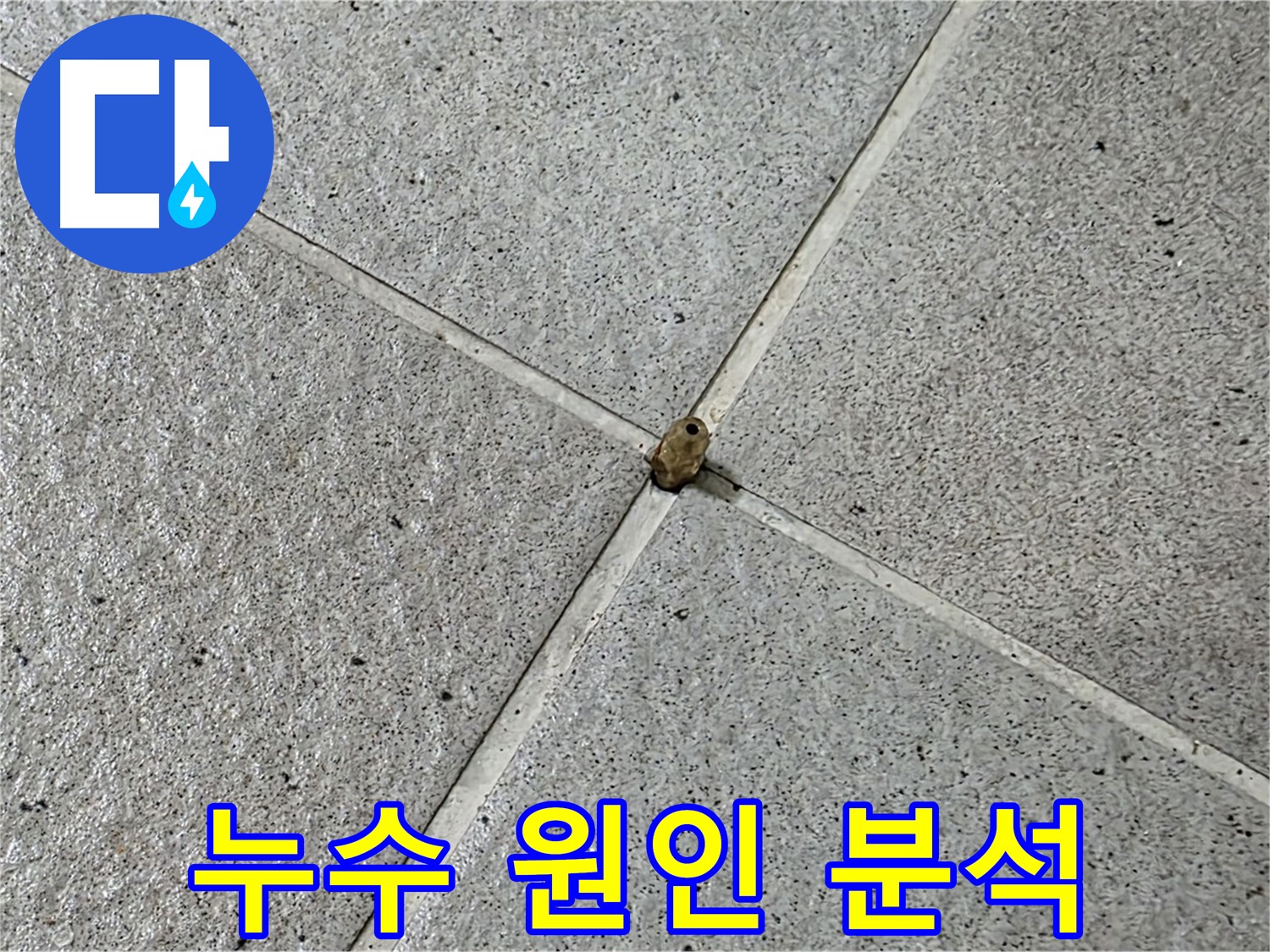 성남 분당 아파트 누수 원인 분석 - 전문 장비와 기술로 정확하게 진단