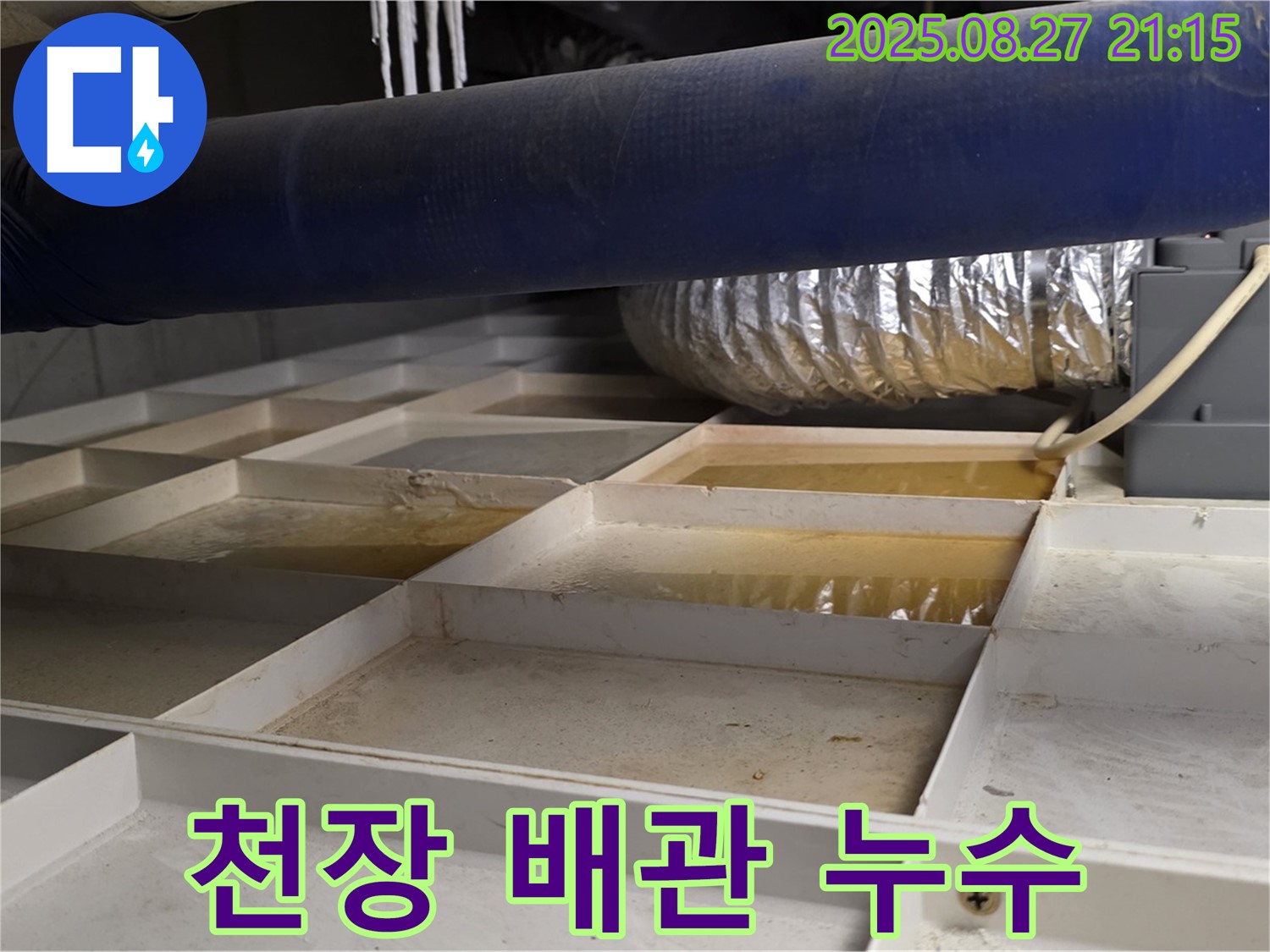성남 분당 운중동 산운마을 누수 현장 - 천장 배관에서 누수가 발생한 긴급 상황을 보여줍니다.