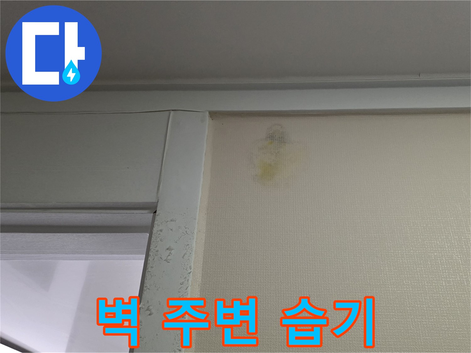 성남 분당 운중동 산운마을 아파트 벽 주변 습기 - 누수 가능성 진단