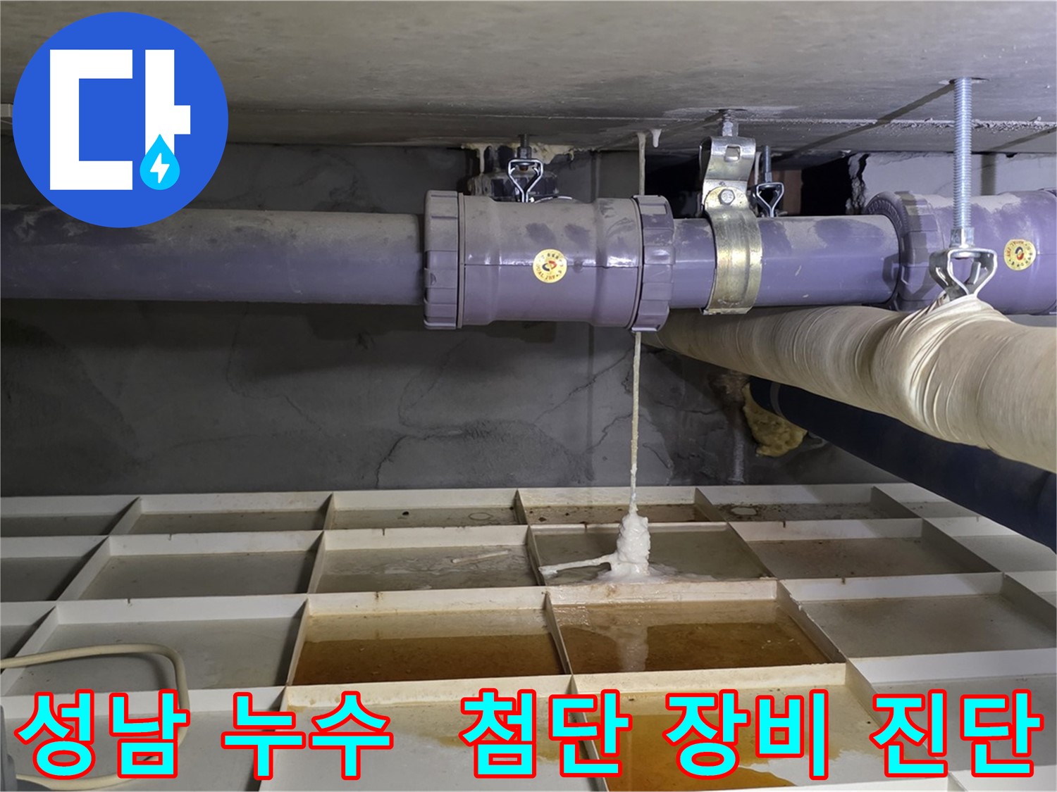 성남 산운마을 배관 누수 - 연결 부위 문제, 최첨단 장비로 진단