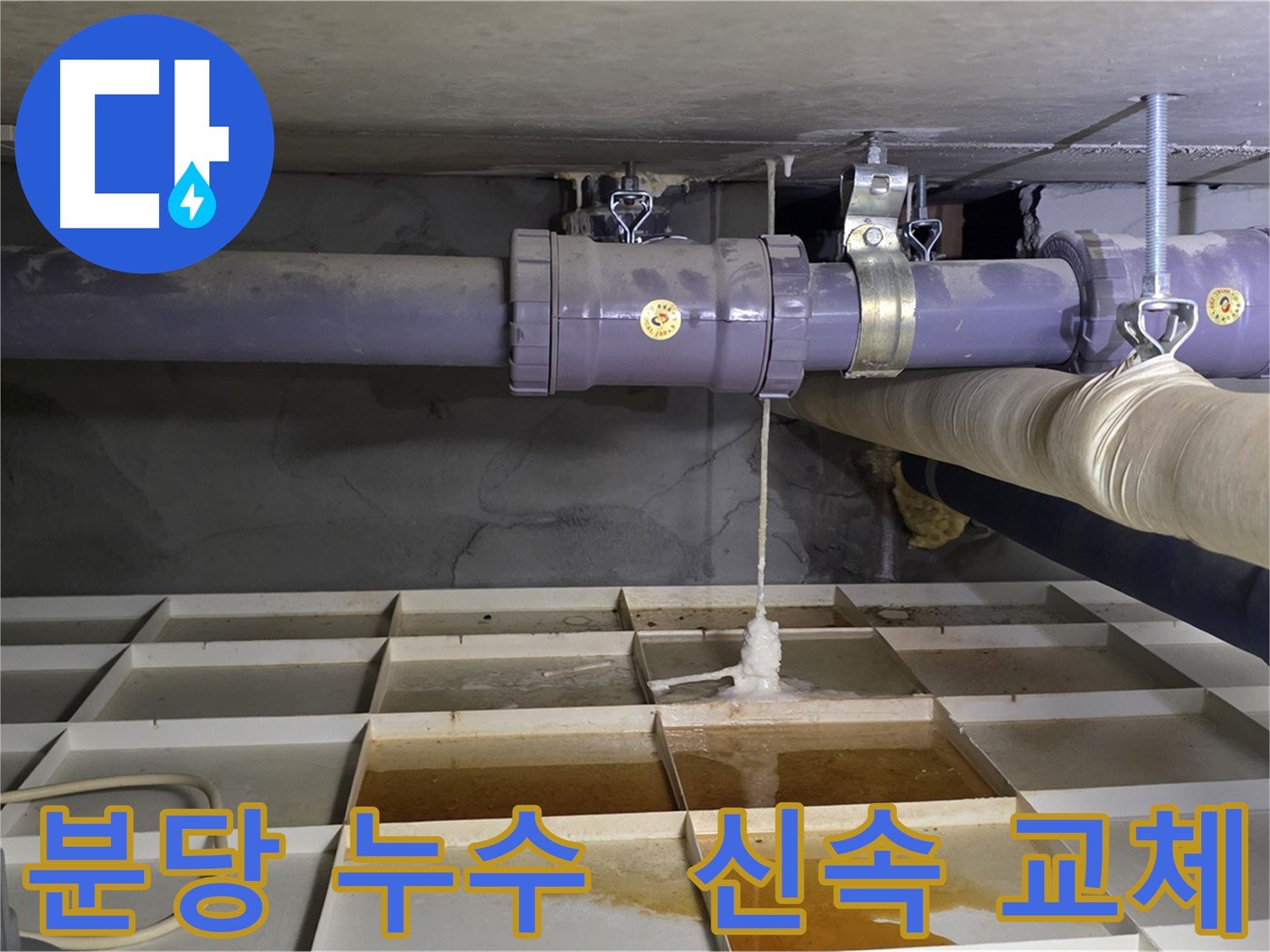 분당 배관 누수 - 연결 부위 부식, 신속한 교체로 누수 해결
