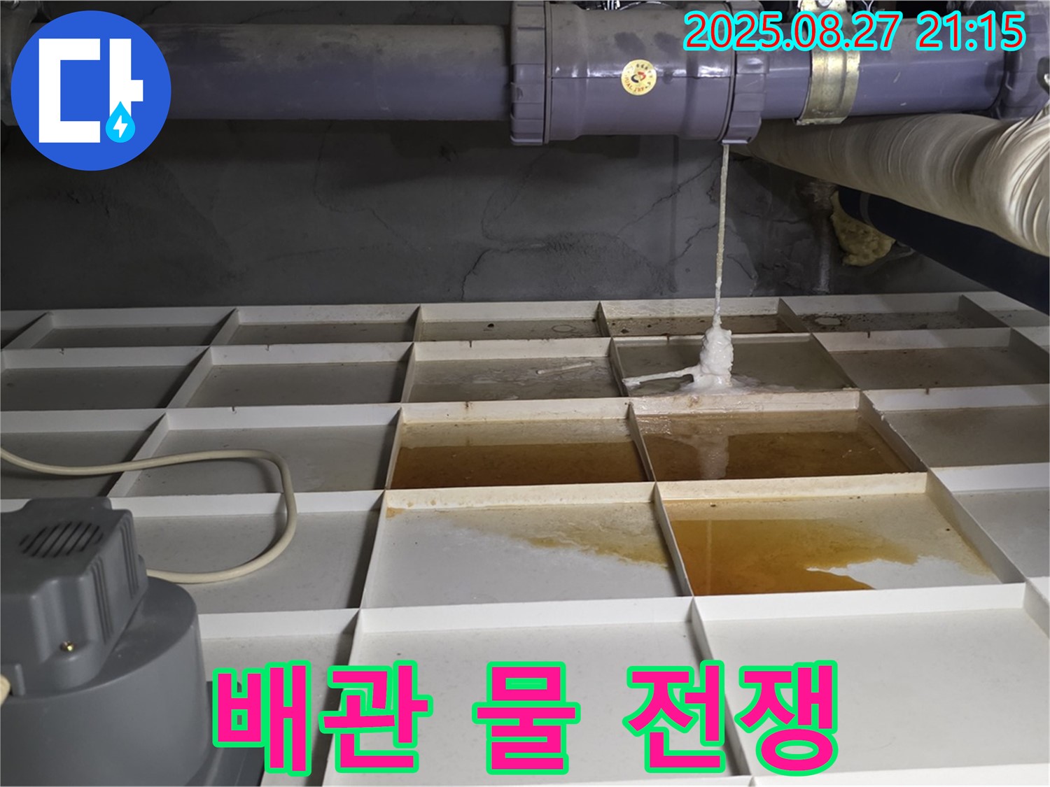 성남시 분당구 운중동 - 배관에서 시작된 물과의 전쟁, 누수 해결 전문가가 함께합니다.