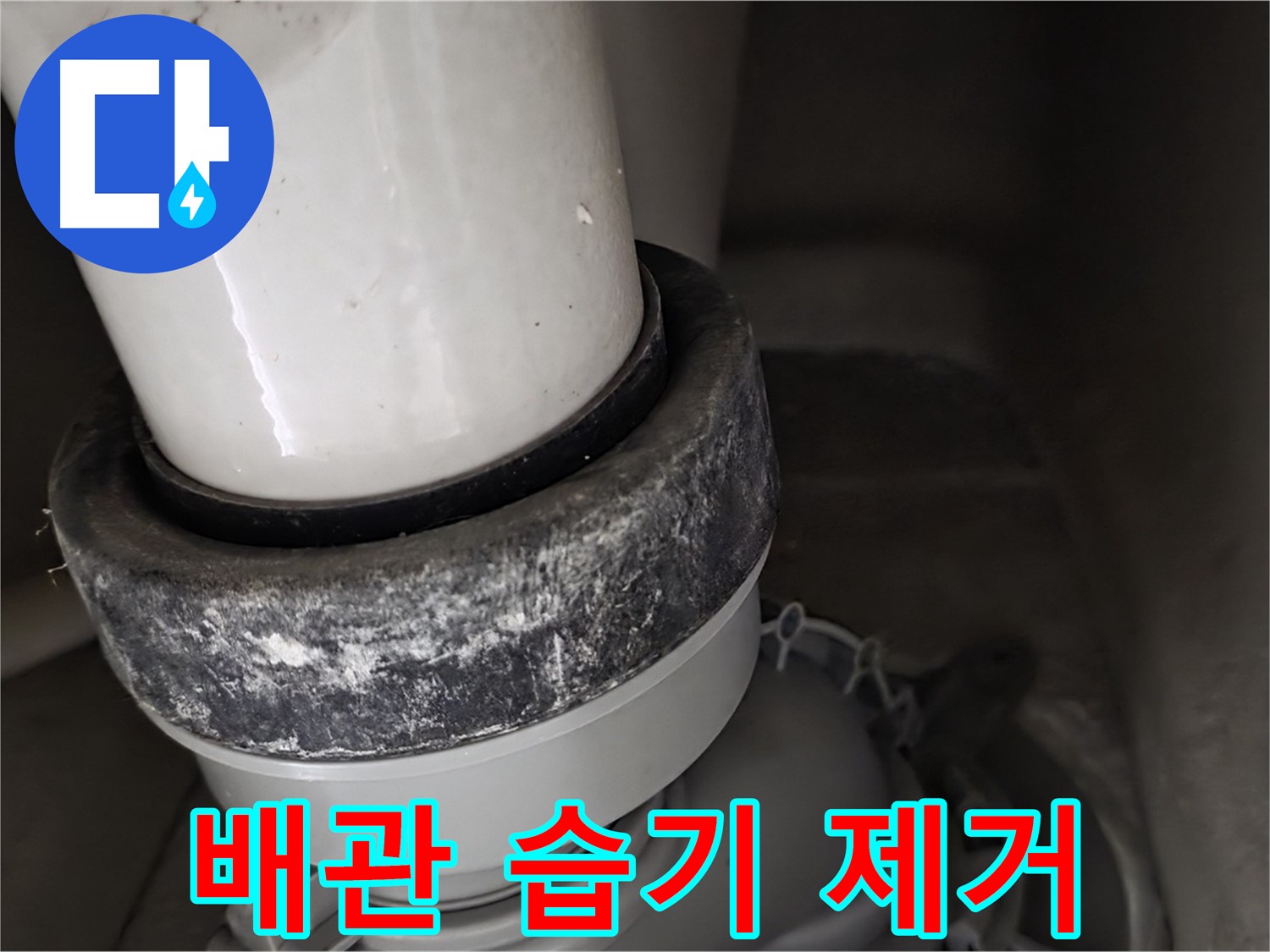 성남시 분당구 운중동 산운마을 변기 누수 - 배관 주변 습기 제거 작업
