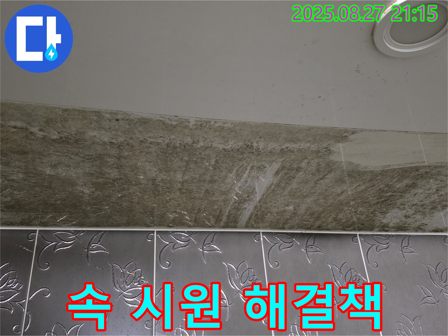 성남시 분당구 운중동 산운마을 아파트 - 곰팡이 핀 천장 누수, 속 시원한 해결책을 위한 상담을 제공합니다.