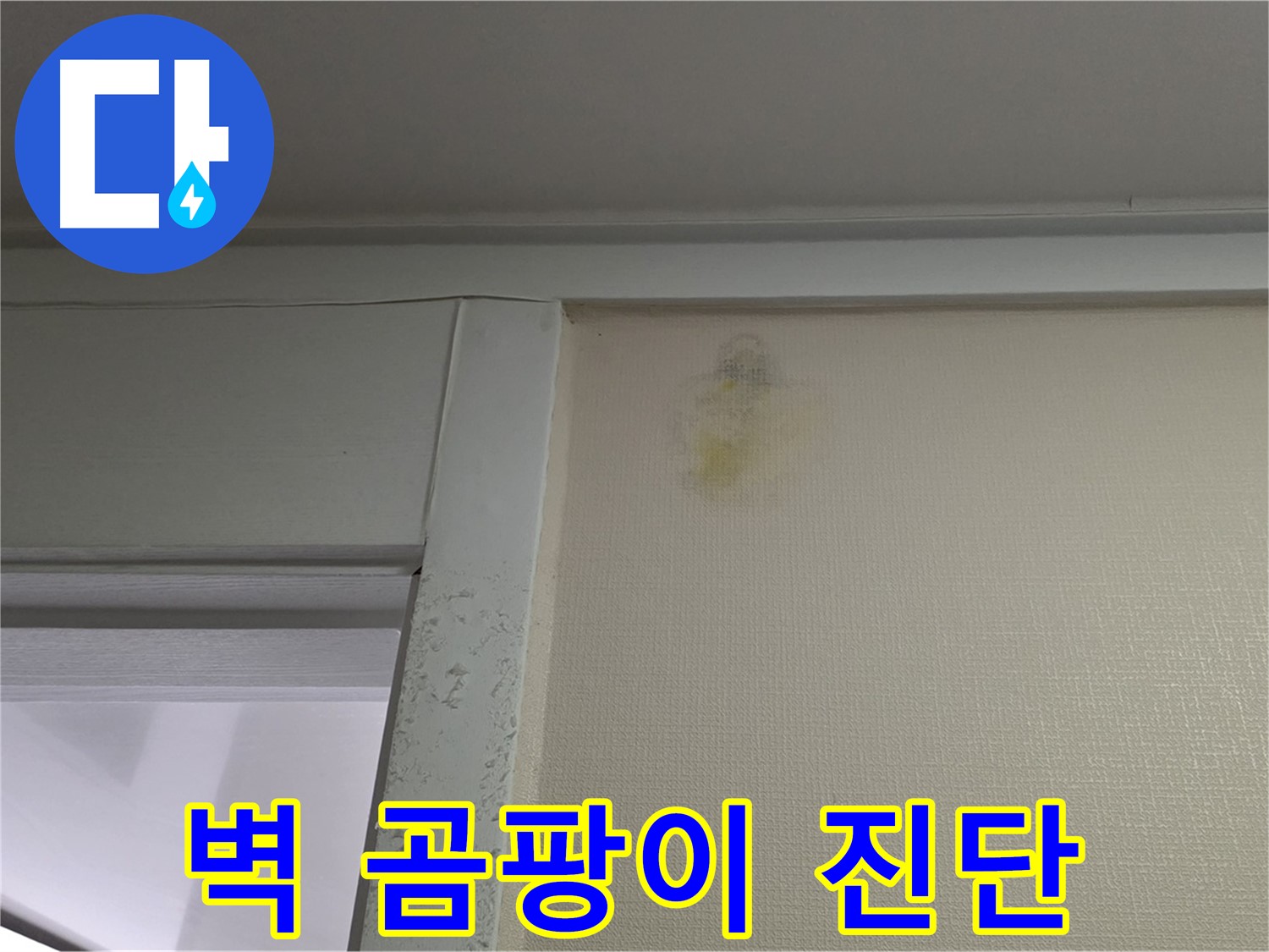 성남시 분당구 운중동 산운마을 아파트 벽 곰팡이 - 누수 초기 의심