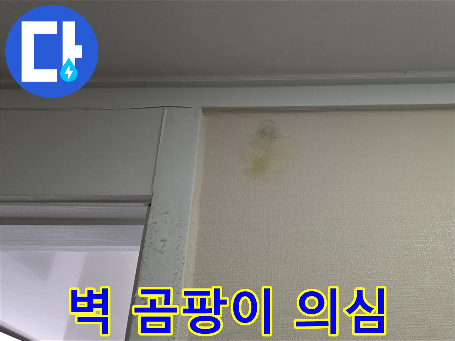 성남시 분당구 운중동 산운마을 아파트 벽 곰팡이 - 초기 누수 의심