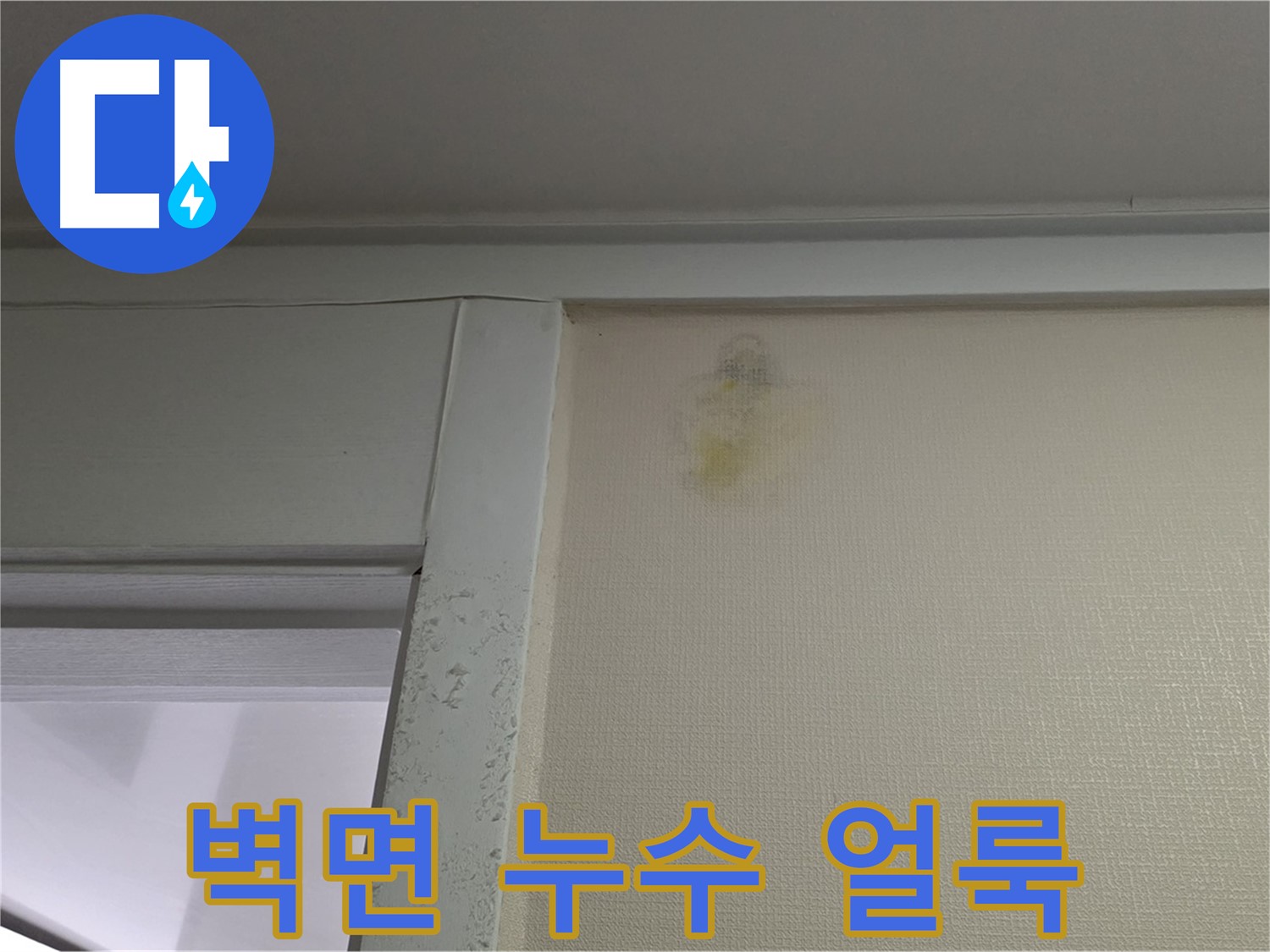 성남시 분당구 운중동 산운마을 아파트 벽면 누수 얼룩 - 누수 완벽 차단 시공