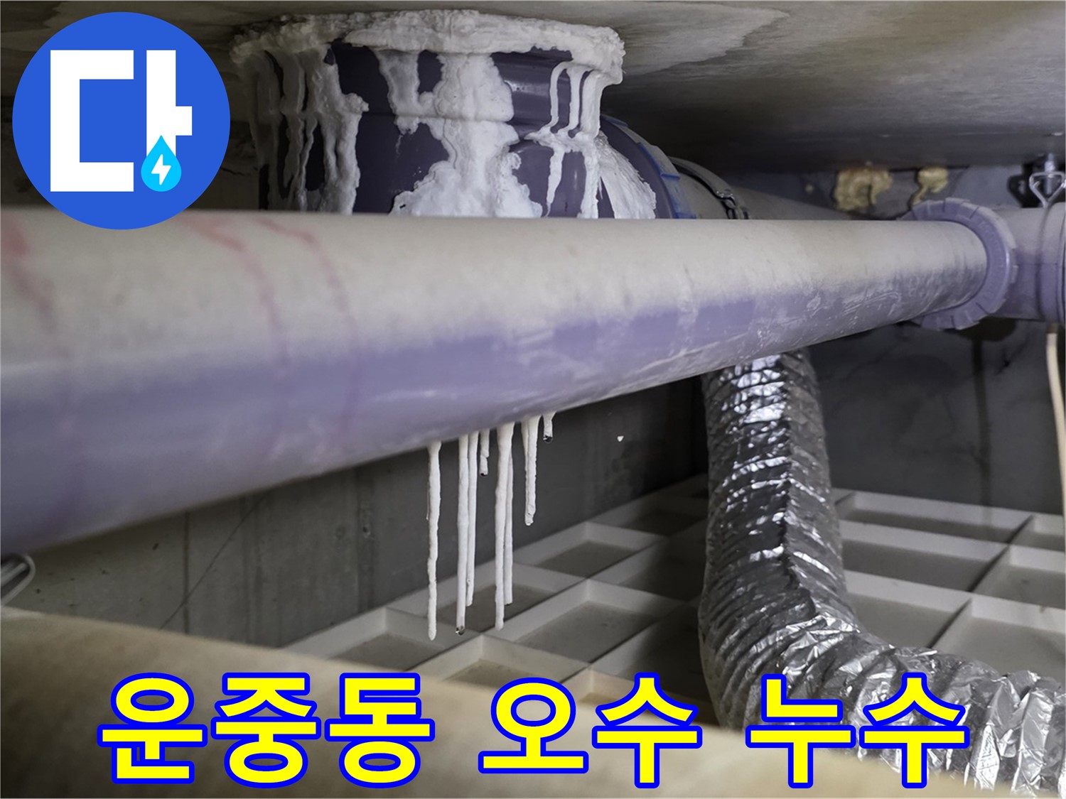 심각한 오수 배관 파손 - 장기간 누수로 인한 석회 고드름