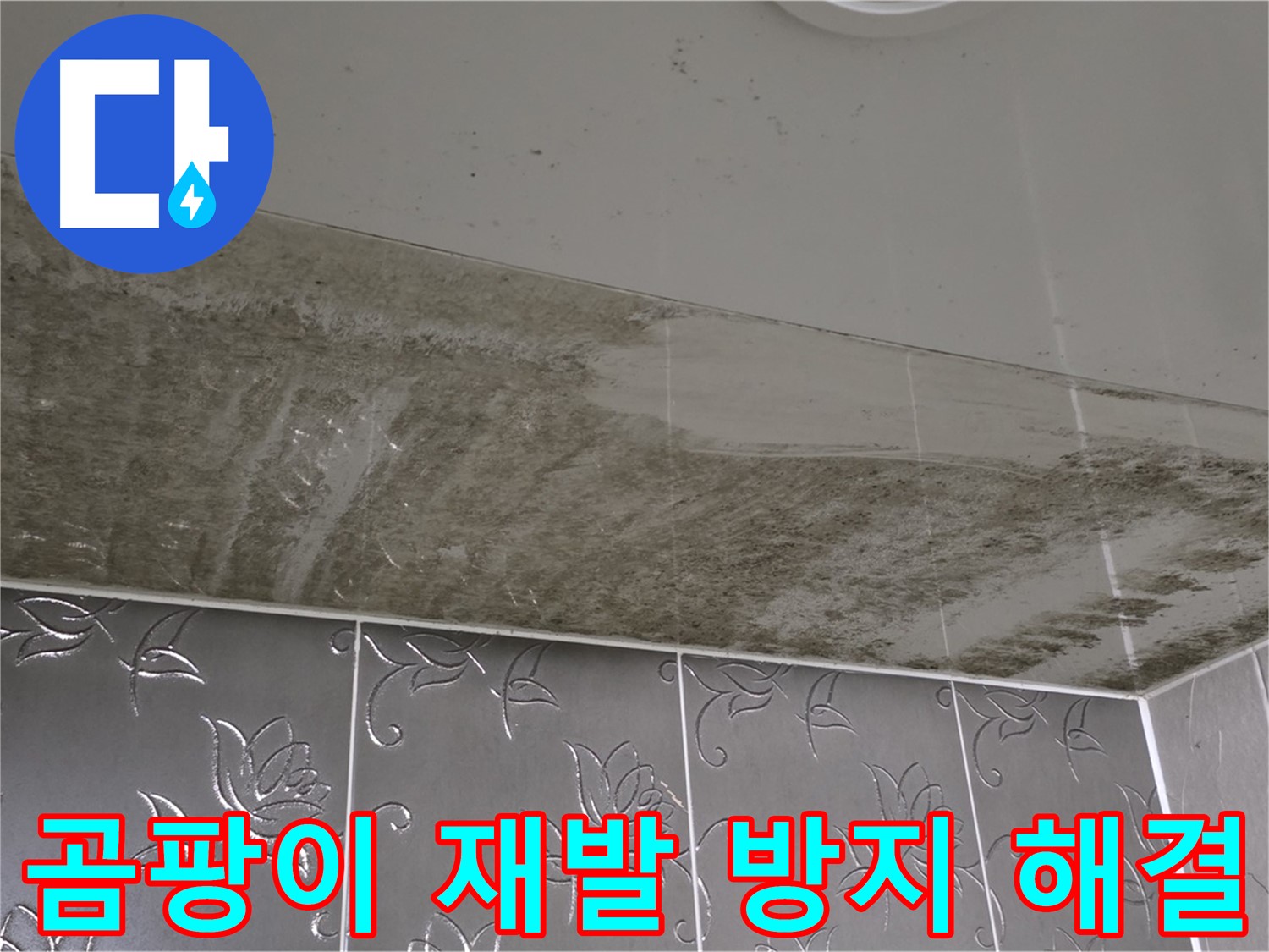 욕실 누수와 곰팡이 - 재발 걱정 없는 완벽한 시공과 확실한 해결
