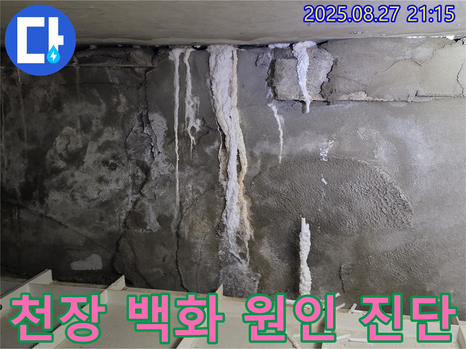 운중동 산운로 주차장 천장 - 백화현상의 숨겨진 원인을 찾기 위한 꼼꼼한 진단 과정을 보여주는 사진입니다.