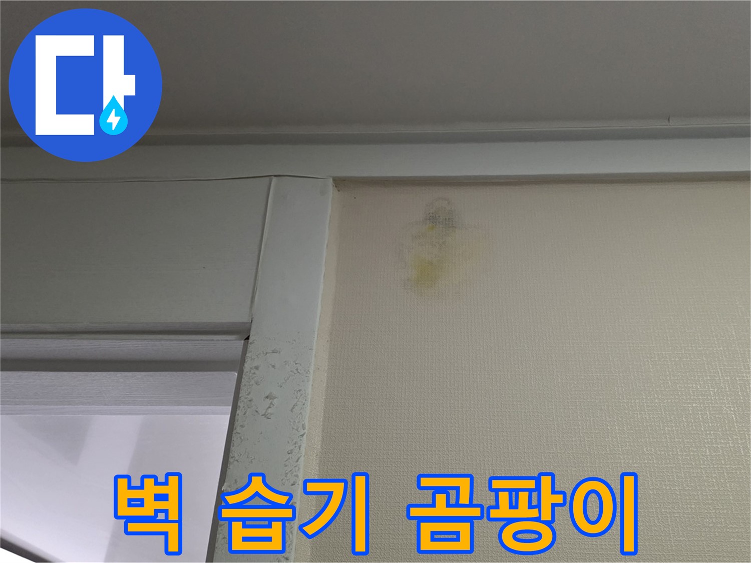 운중동 산운마을 6단지 아파트 - 벽 주변 습기 및 곰팡이 누수 초기 증상 확인