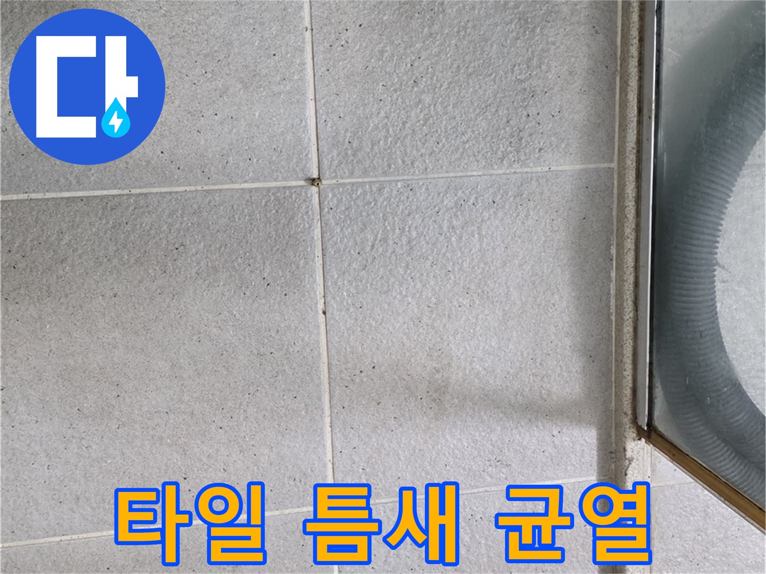 운중동 욕실 샤워부스 주변 - 타일 틈새 미세 균열은 누수의 시작을 알리는 신호일 수 있습니다.