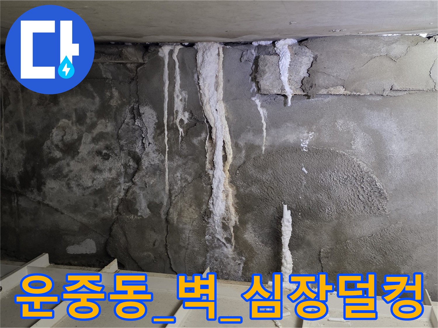 운중동 콘크리트 벽 - 석회수 뚝뚝, 철근 휘어질까 심장 덜컹