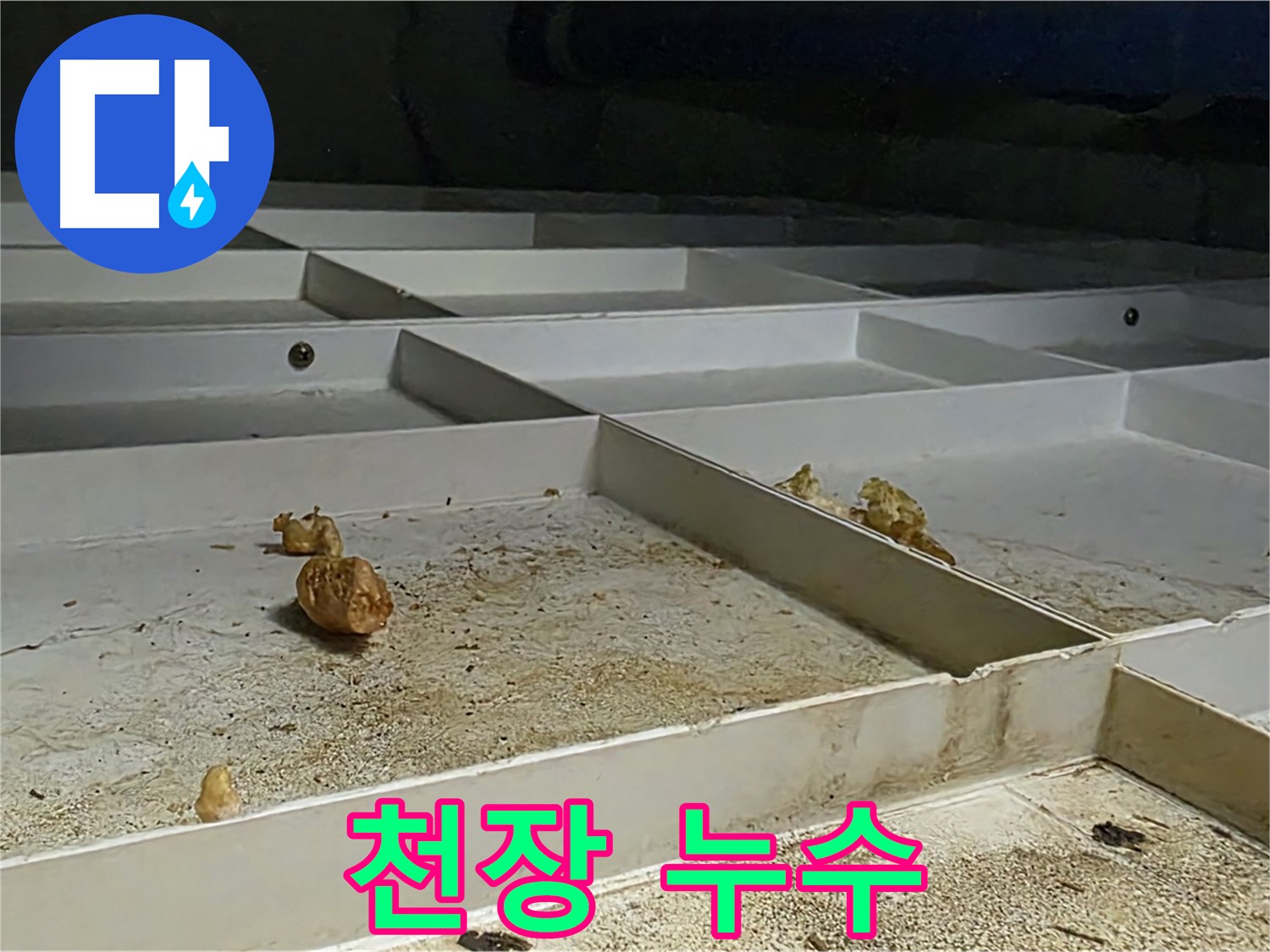 천장 누수 - 천장에서 누수가 발생한 모습