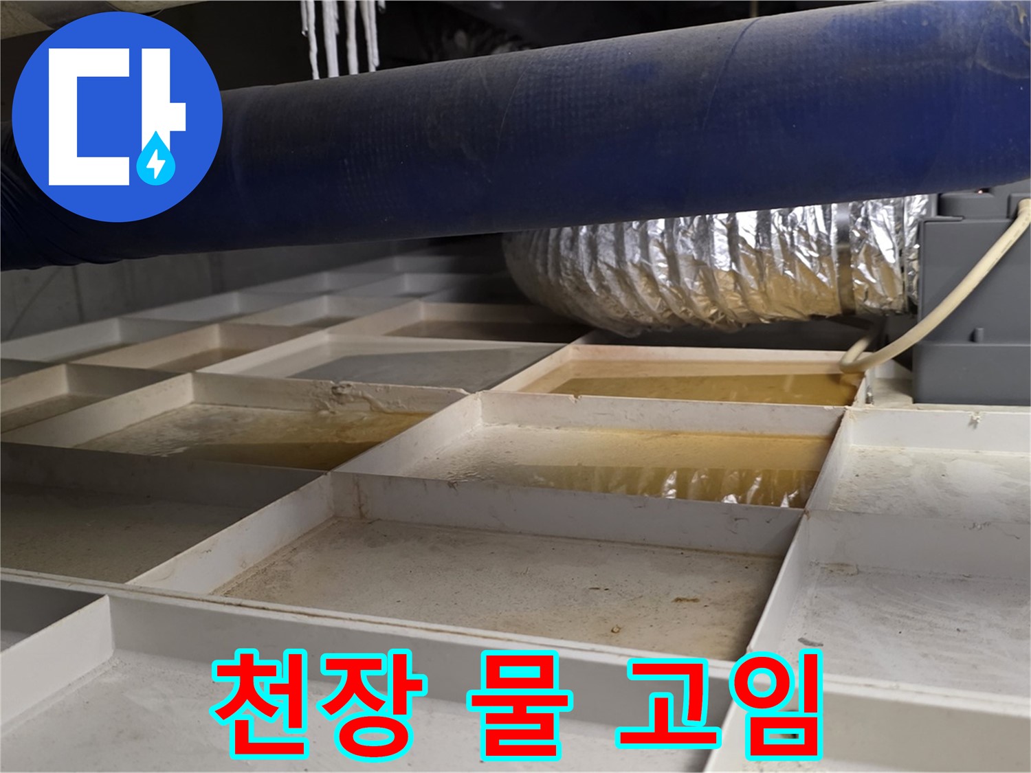 천장 물 고임 - 누수로 인해 천장에 물이 고여 있는 심각한 상황