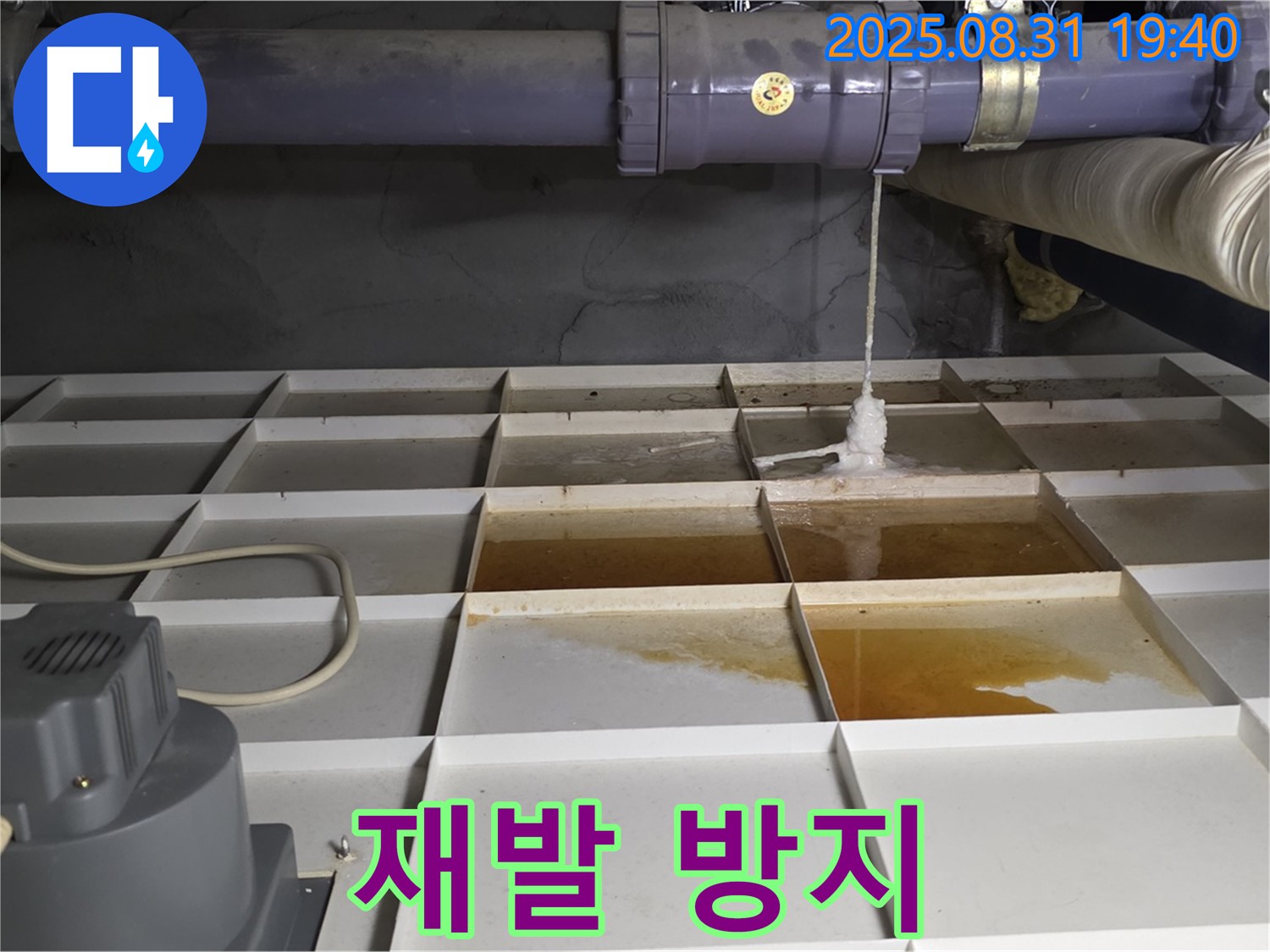 꼼꼼한 누수 점검 - 분당 정자동 누수, 재발 방지를 위한 최선의 선택.