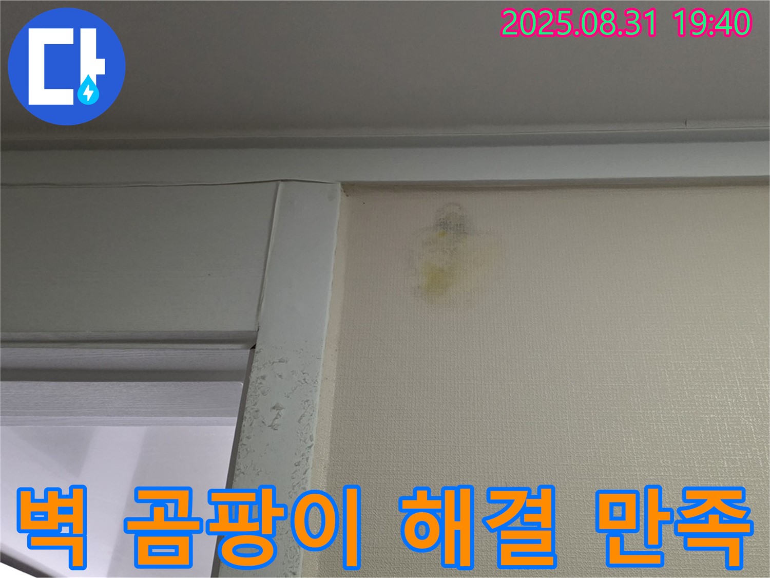 벽 곰팡이 해결 - 분당 산운동 누수 - 100% 만족