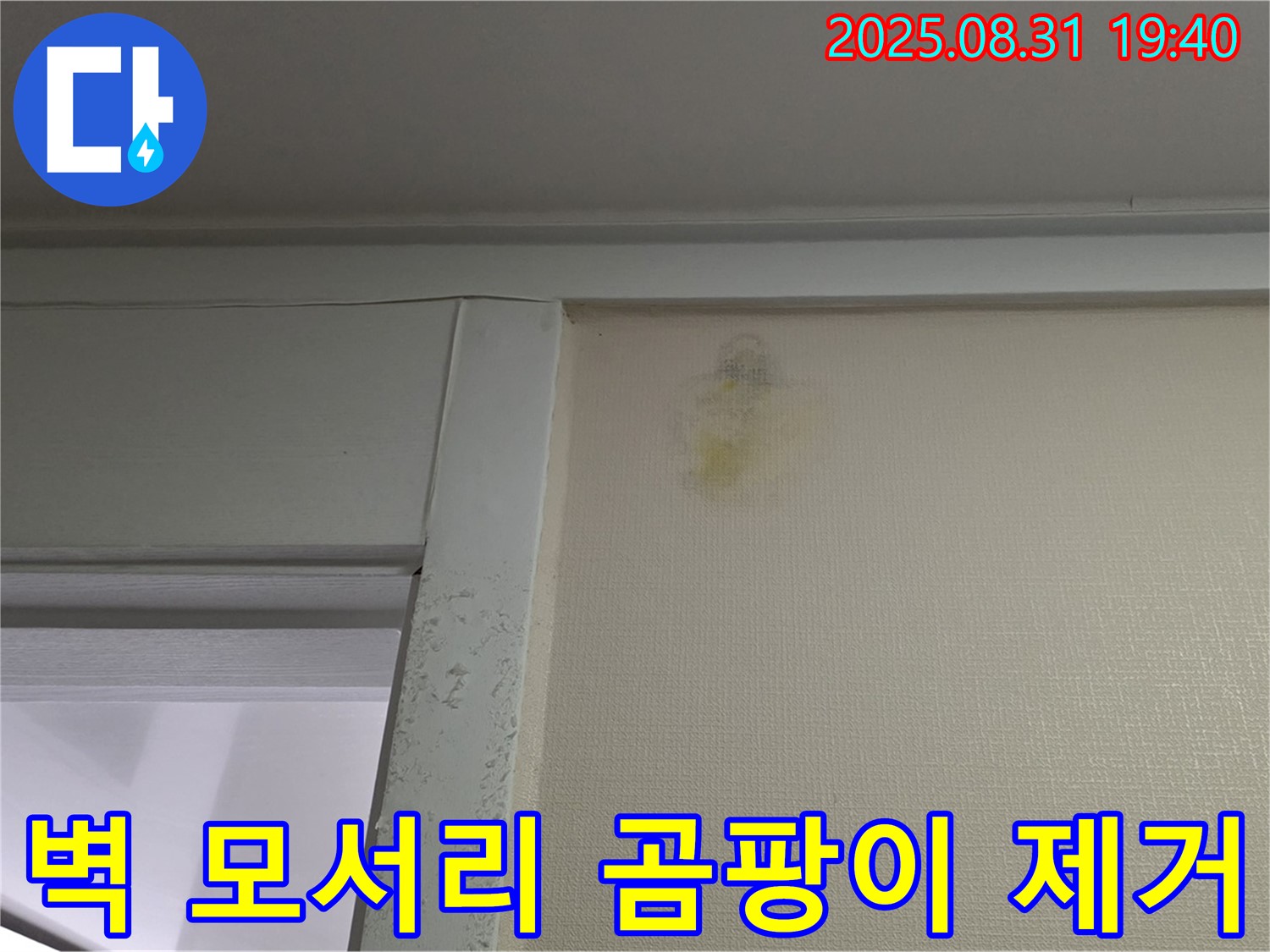 벽 모서리 곰팡이 제거 - 성남 분당구 산운로 누수