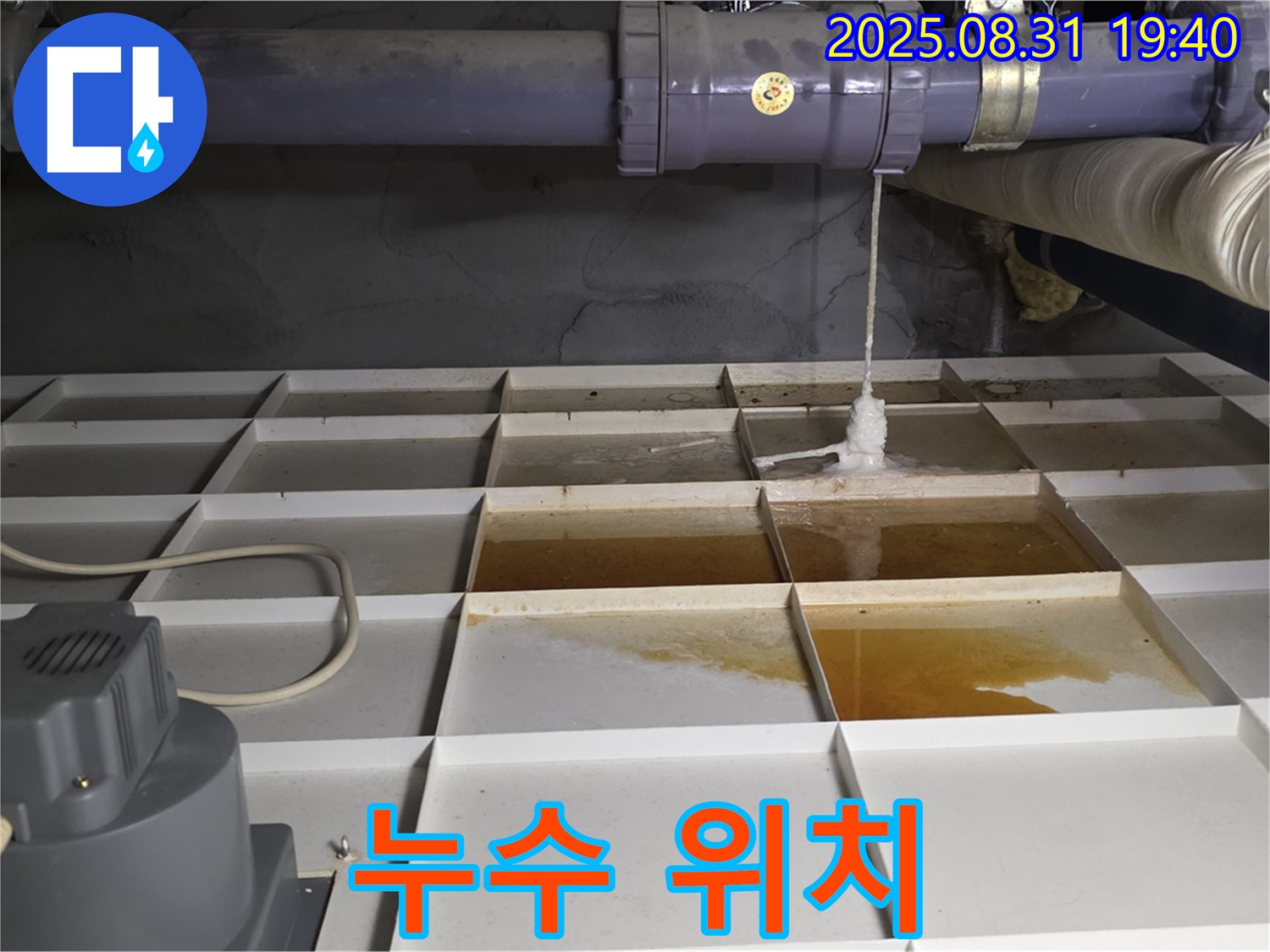 분당 구미동 주택 누수 - 누수 위치를 정확히 찾아낸 순간