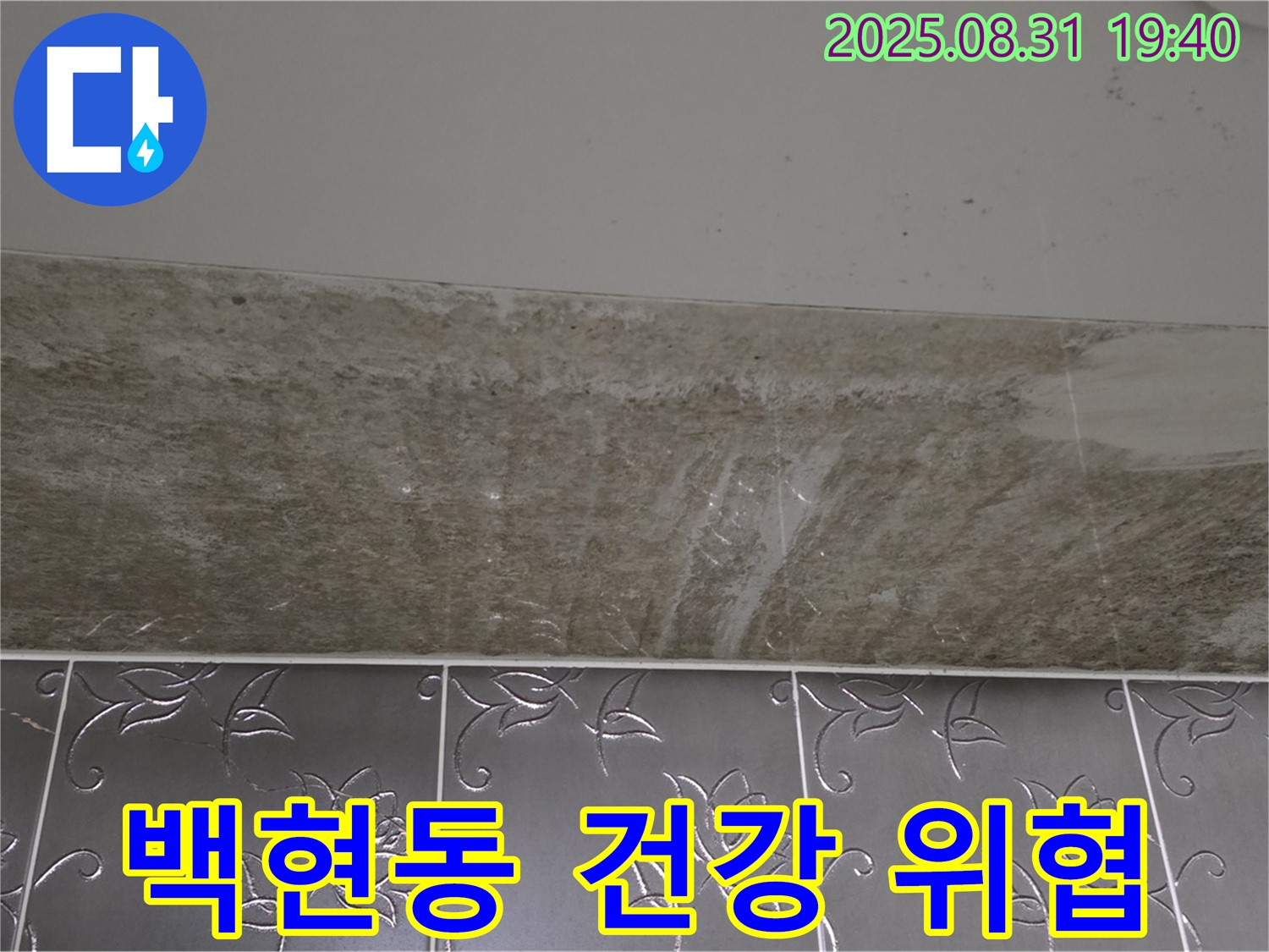 분당 백현동 욕실 곰팡이 - 건강을 위협하는 곰팡이!