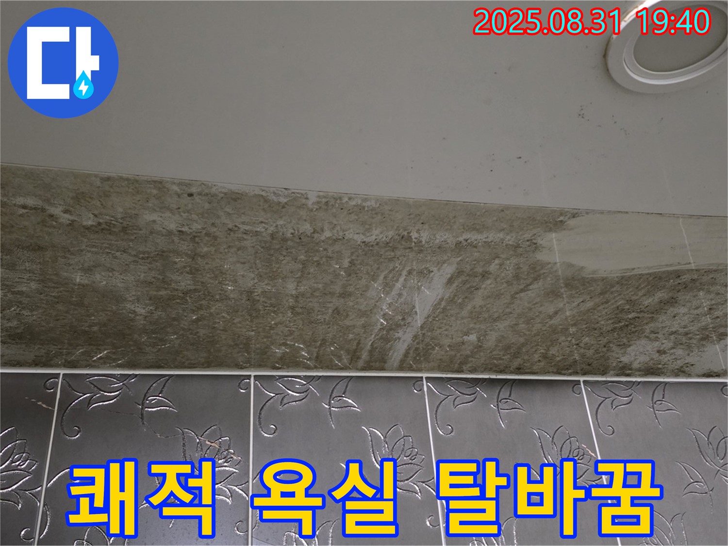 분당 백현동 욕실 천장 누수 - 곰팡이 싹 OUT! 쾌적한 욕실로 완벽 탈바꿈!