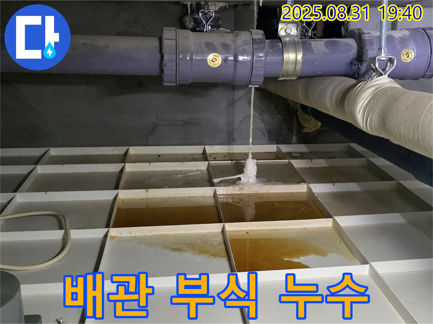 분당 산운로 누수 - 물탱크 주변 배관 부식으로 인한 누수 발생 - 배관 교체가 필요합니다.
