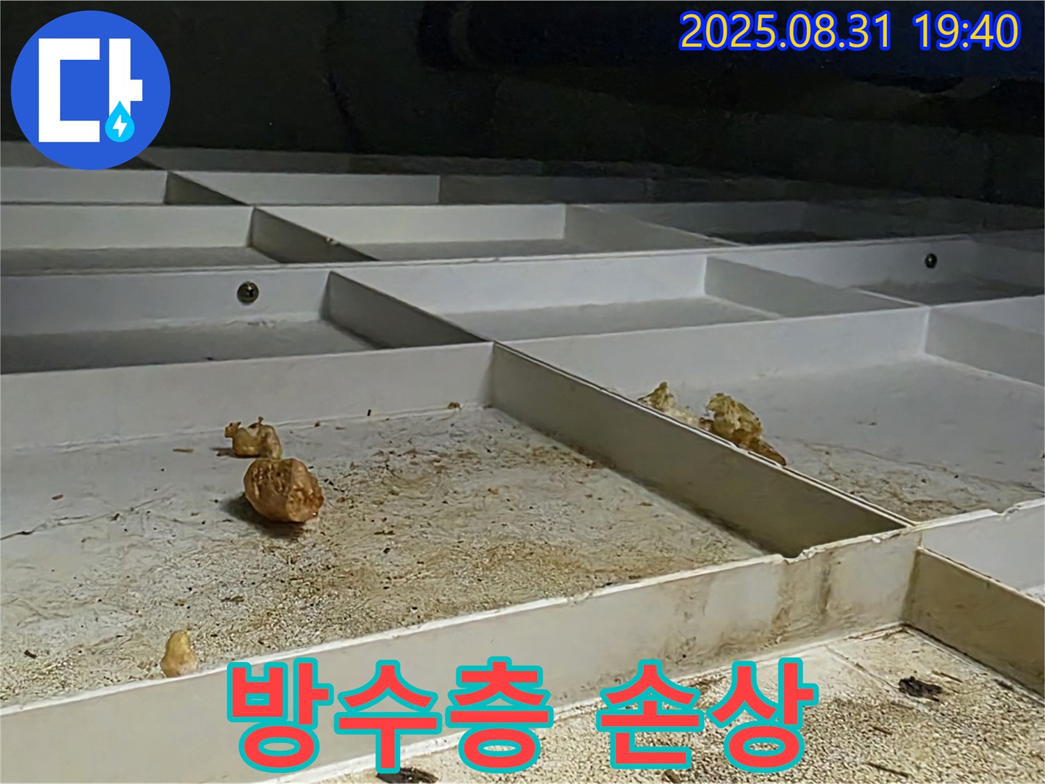 분당 산운로 누수 - 욕실 방수층 손상, 타일 들뜸 현상 발견
