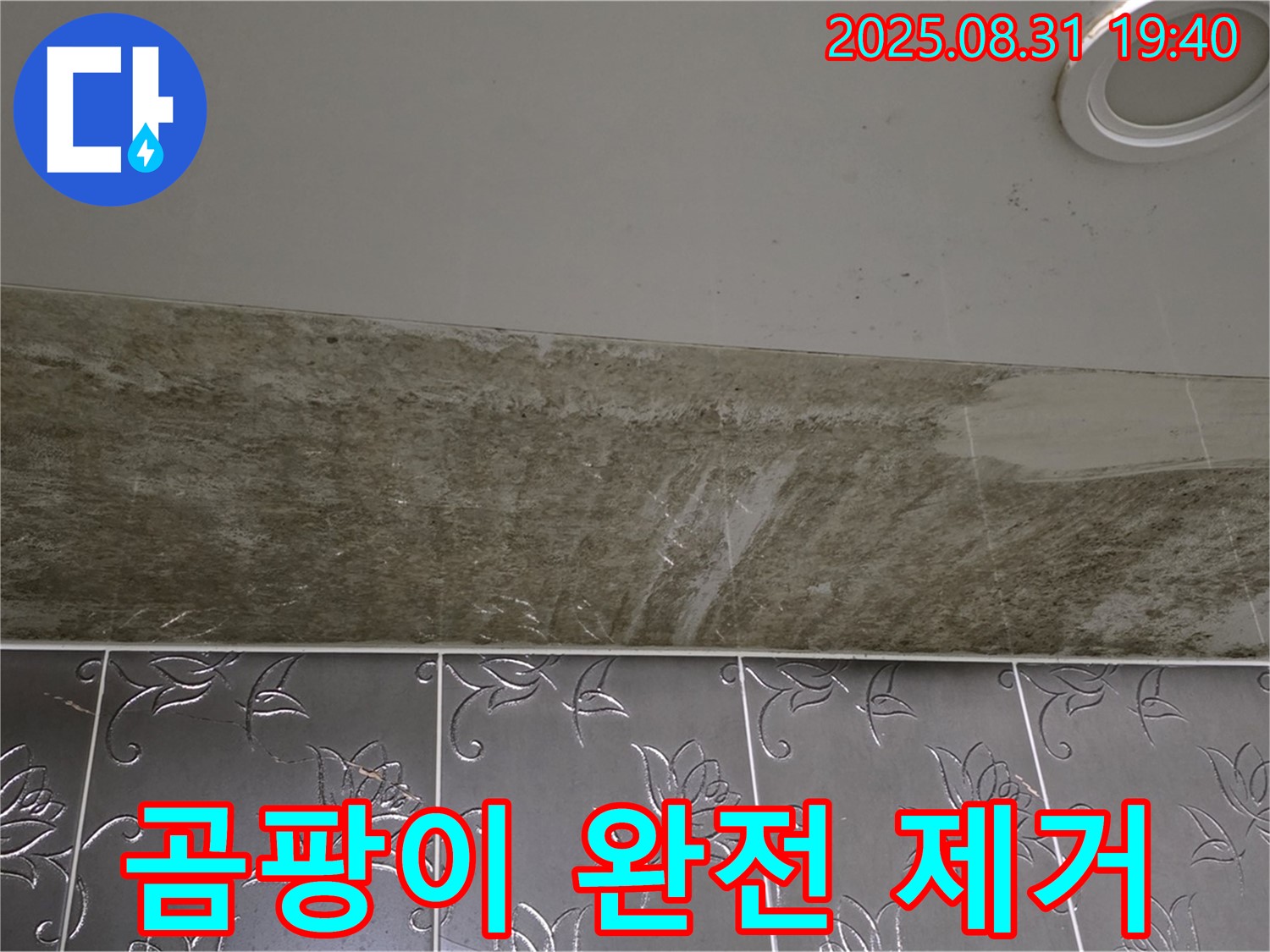 분당구 구미동 욕실 천장 누수 - 곰팡이 완벽 제거 및 누수 해결로 깨끗한 욕실 완성!