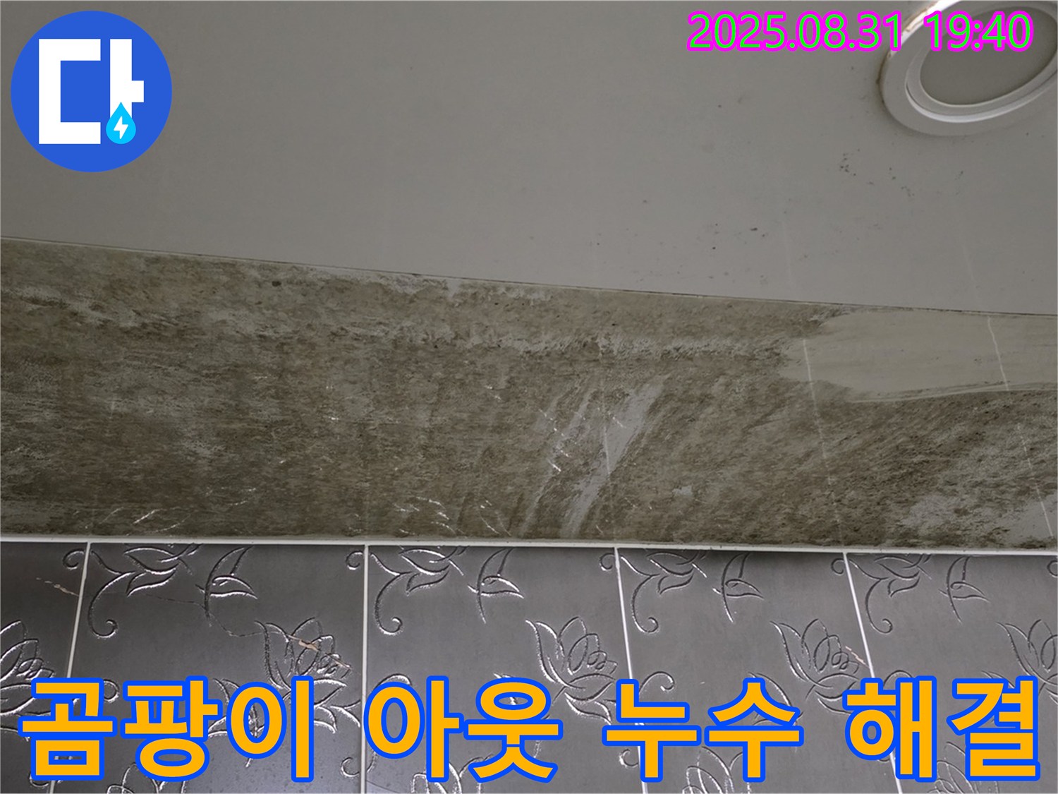 분당구 백현동 욕실 천장 누수 - 곰팡이 아웃! 쾌적한 욕실 천장, 완벽하게 해결!