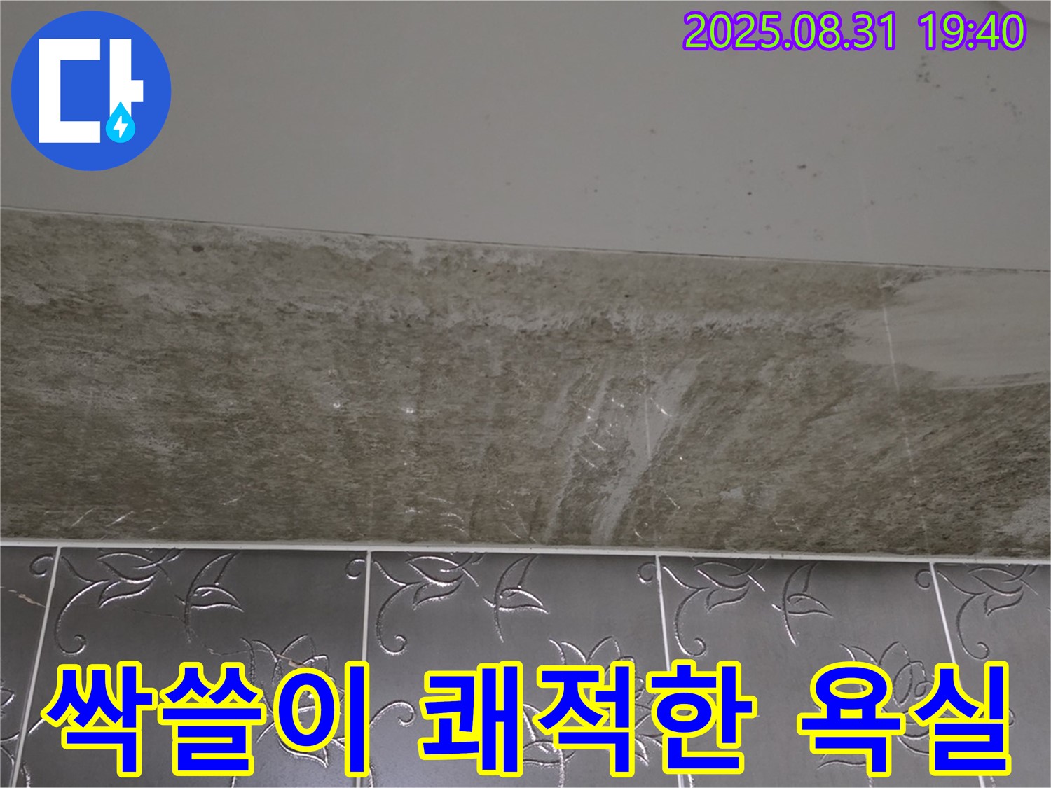 분당구 산운동 욕실 - 곰팡이 싹쓸이 쾌적한 욕실 되찾기