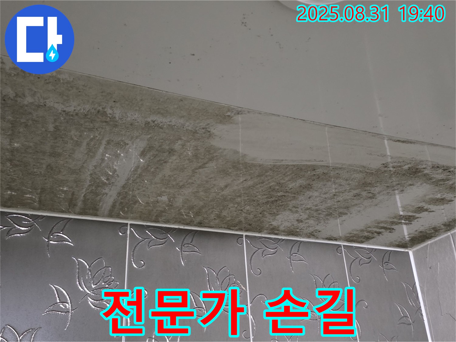 분당구 산운로 - 곰팡이 가득한 욕실 - 전문가의 손길로 말끔하게