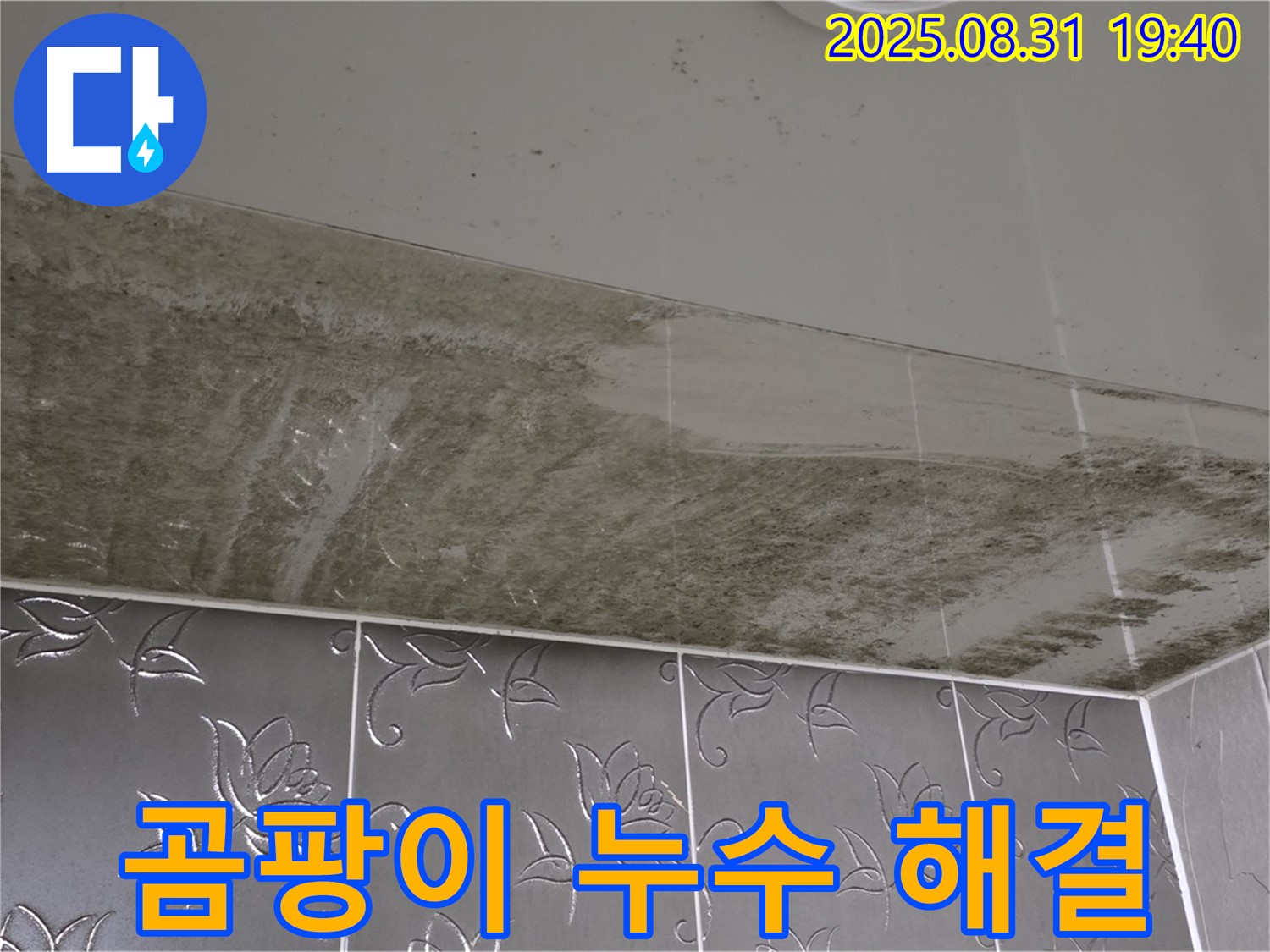 산운동 아파트 욕실 천장 - 곰팡이 누수 해결 후 쾌적한 모습