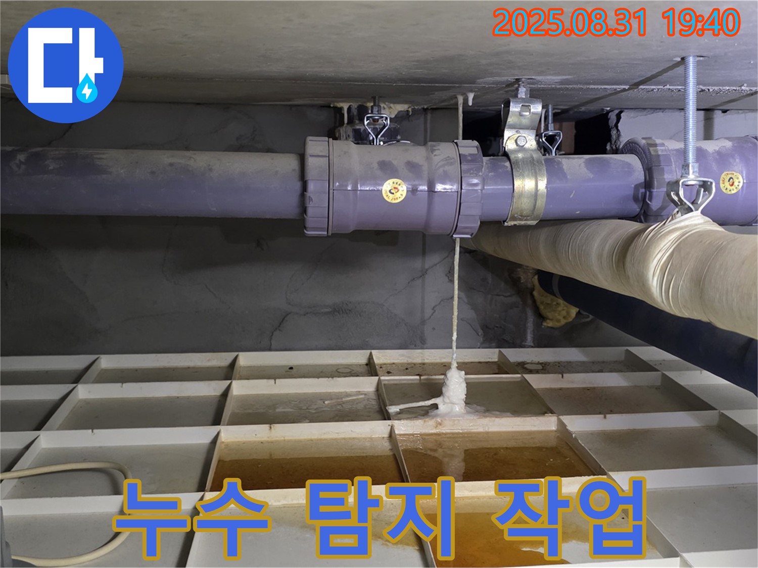 성남 분당 산운로 누수 - 누수 탐지 장비를 사용하여 정확한 위치를 찾는 모습.