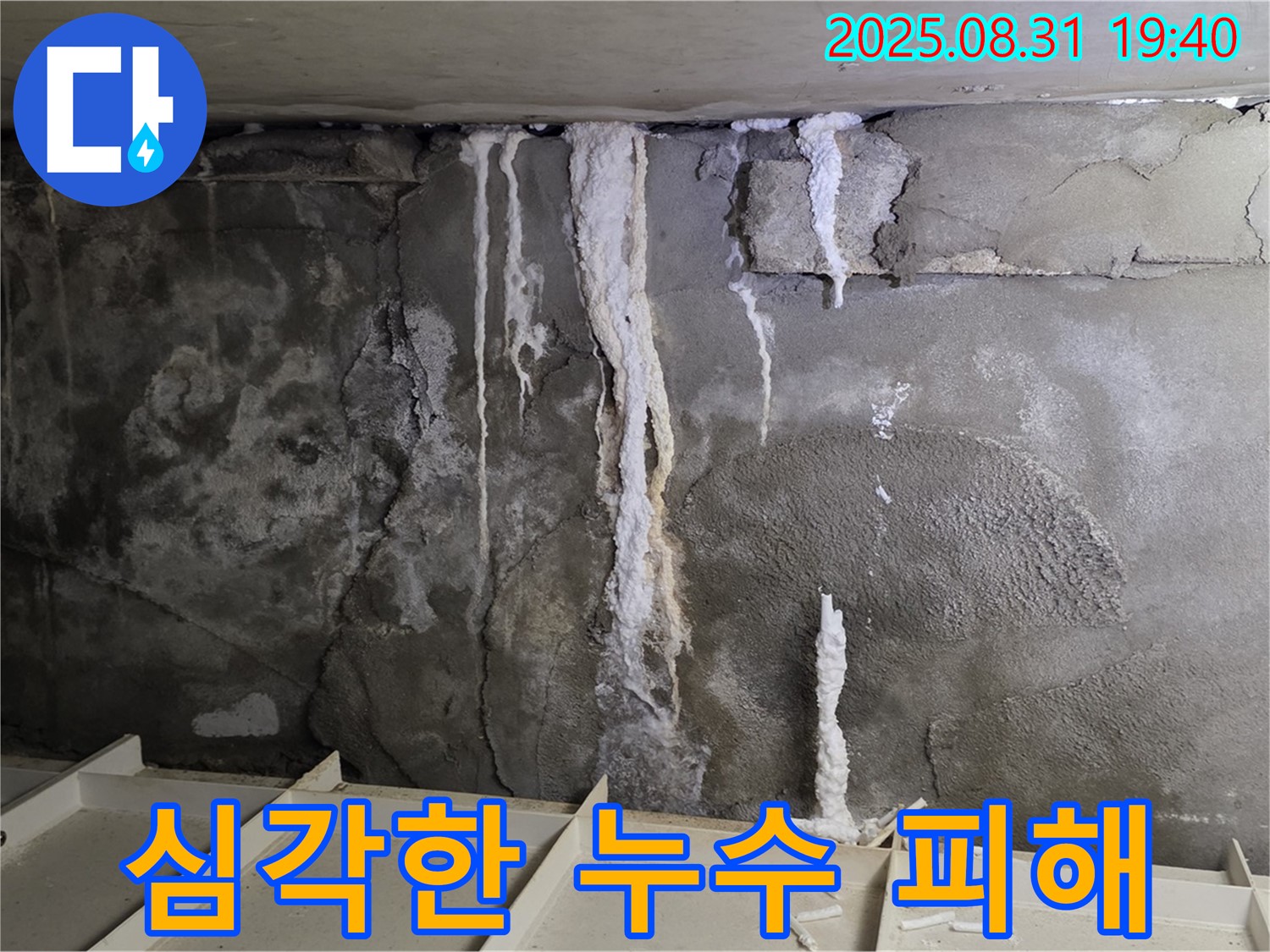 심각한 누수 피해 - 분당구 산운동 건물에서 발생한 심각한 누수로 인해 벽면이 훼손되고 곰팡이가 발생한 모습입니다. 긴급한 조치가 필요합니다.