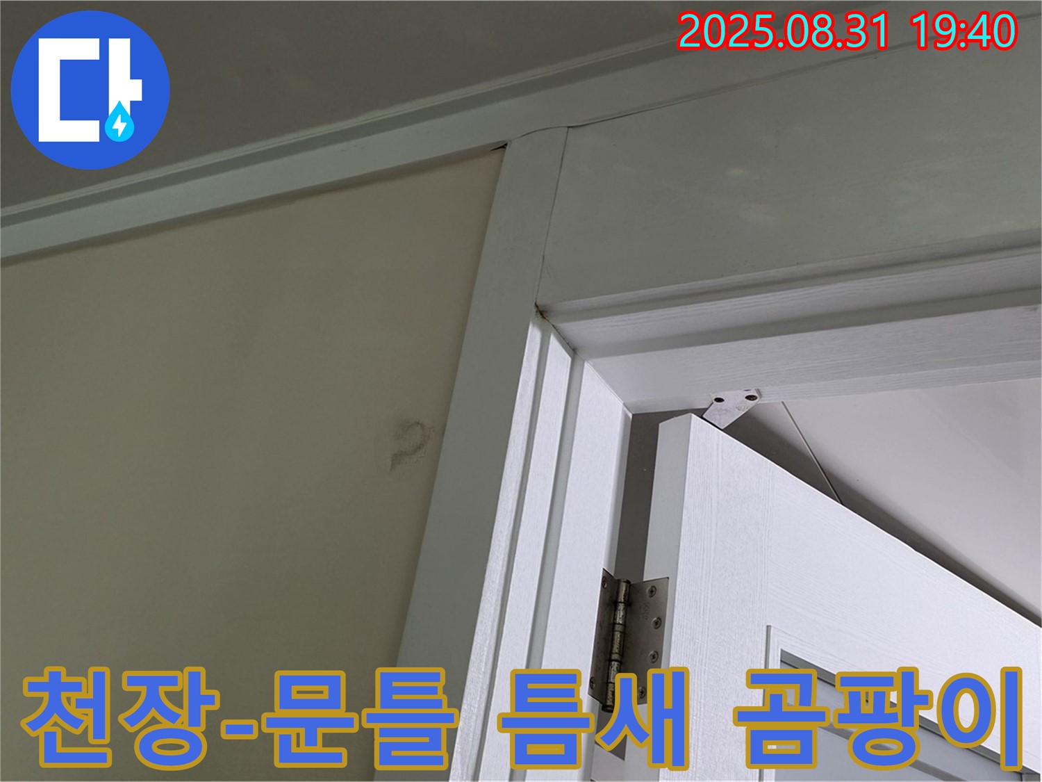 천장과 문틀 틈새 곰팡이 - 천장과 문틀 틈새에 곰팡이가 발생했습니다.