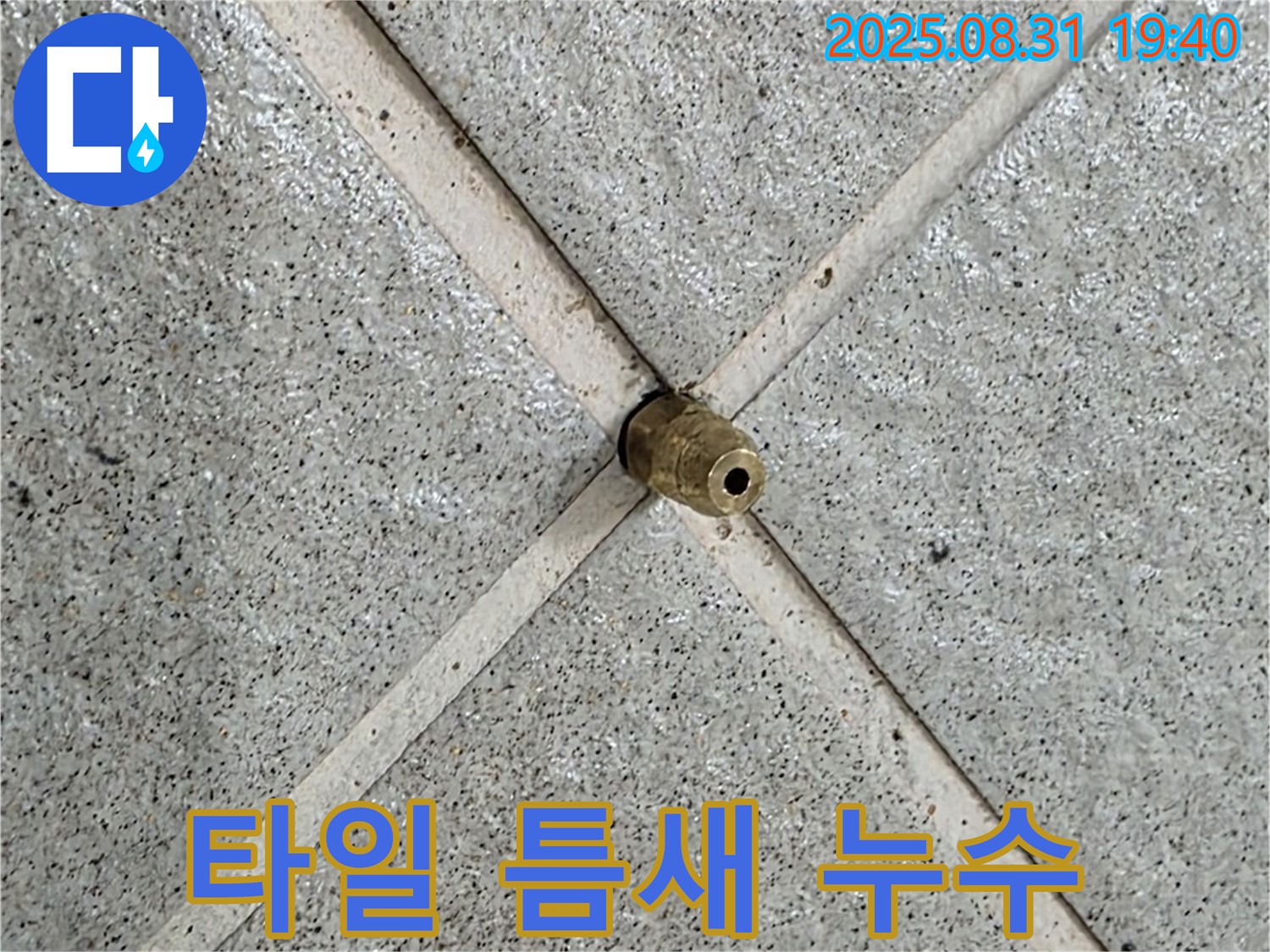 타일 틈새에서 발견된 누수 지점 - 정확한 탐지로 문제 해결
