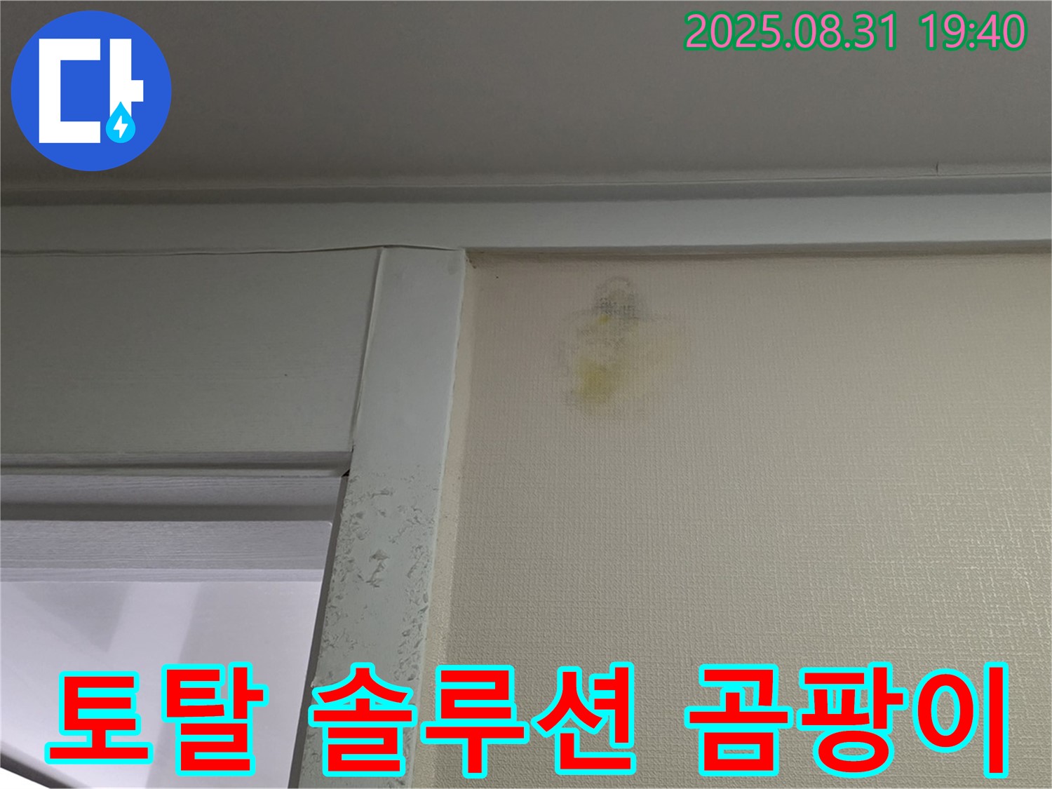 토탈 솔루션 곰팡이 - 분당 산운로 누수 - 원스톱 서비스